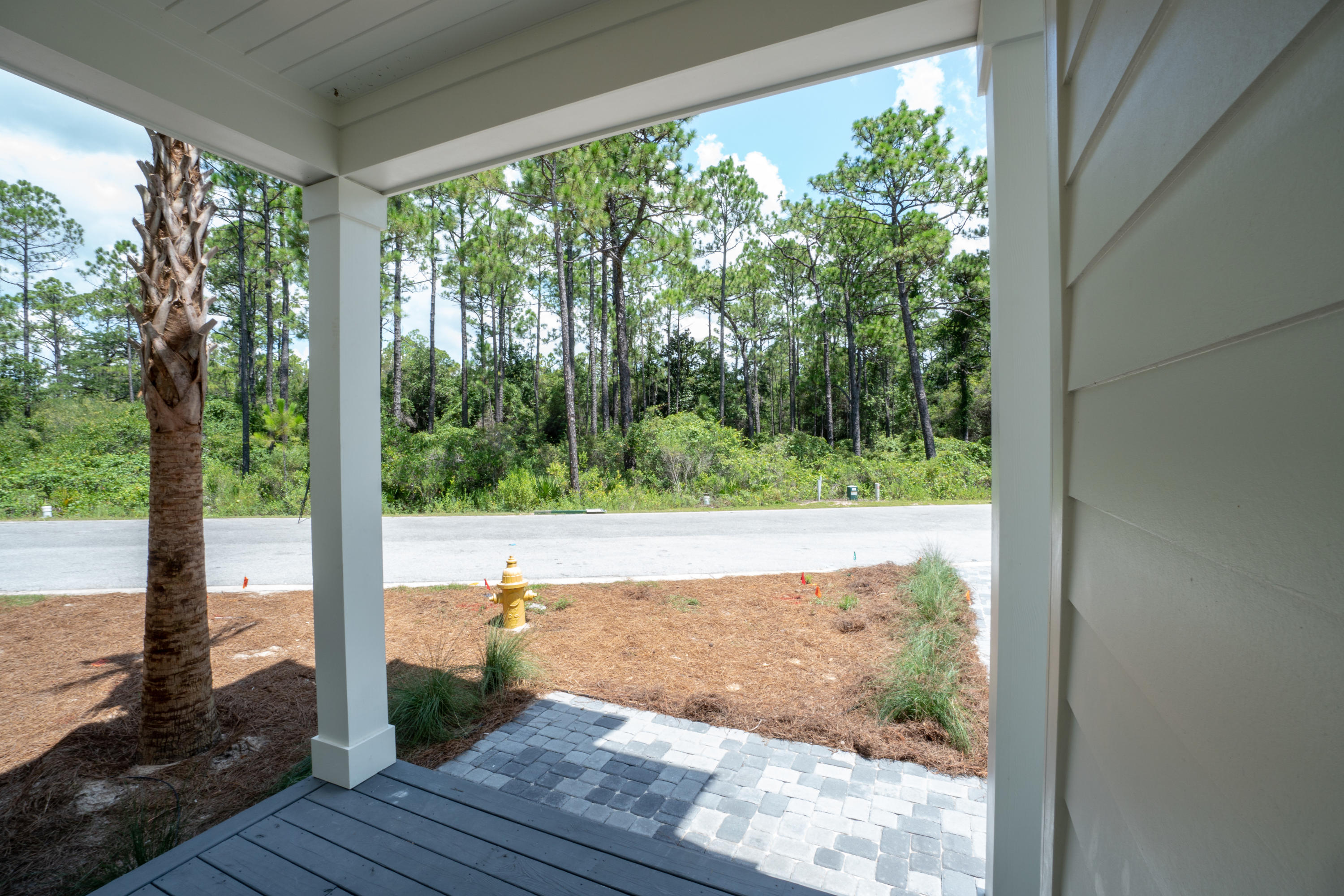 Treetop at Seacrest Beach - Residential