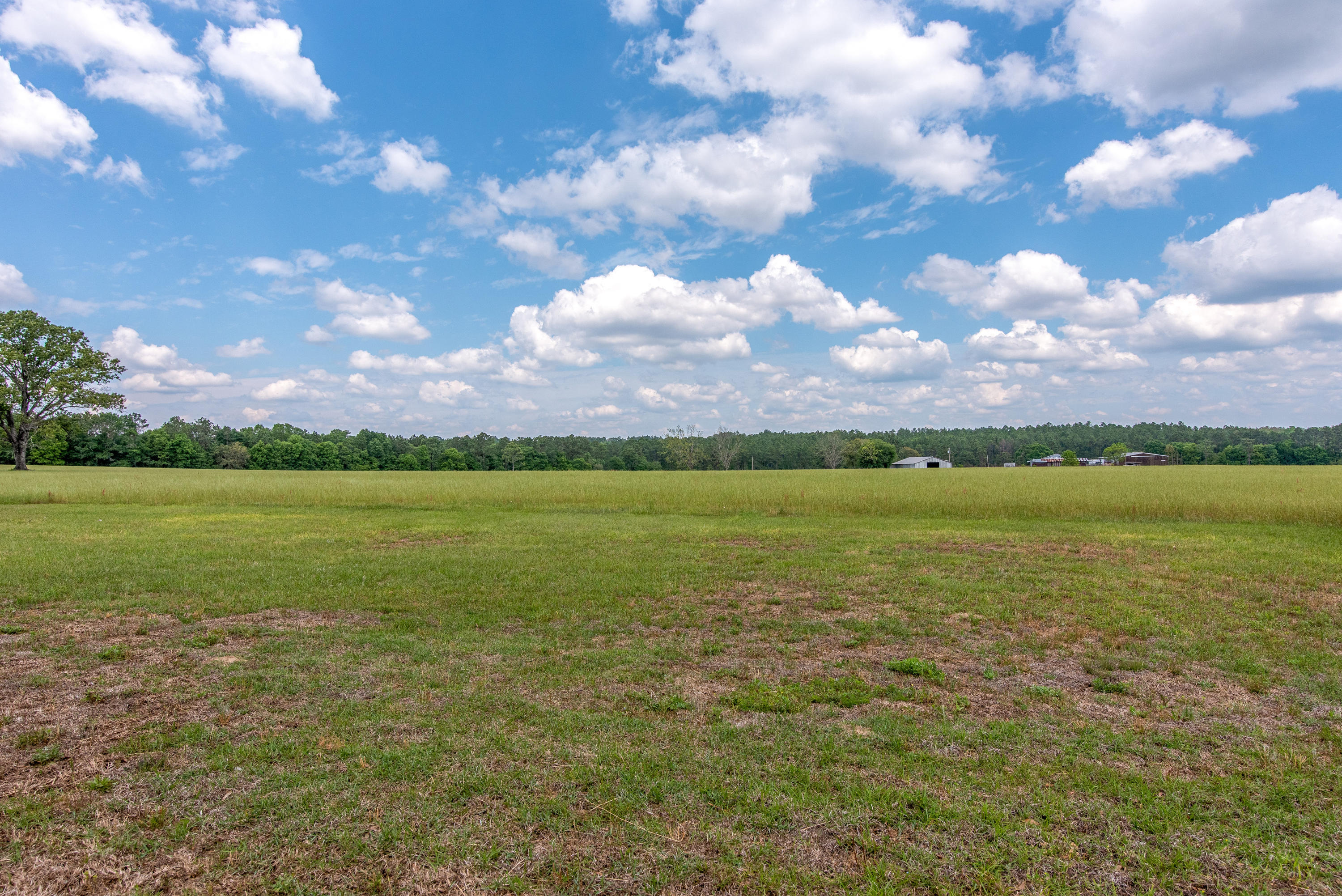 MOSSY OAKS - Residential
