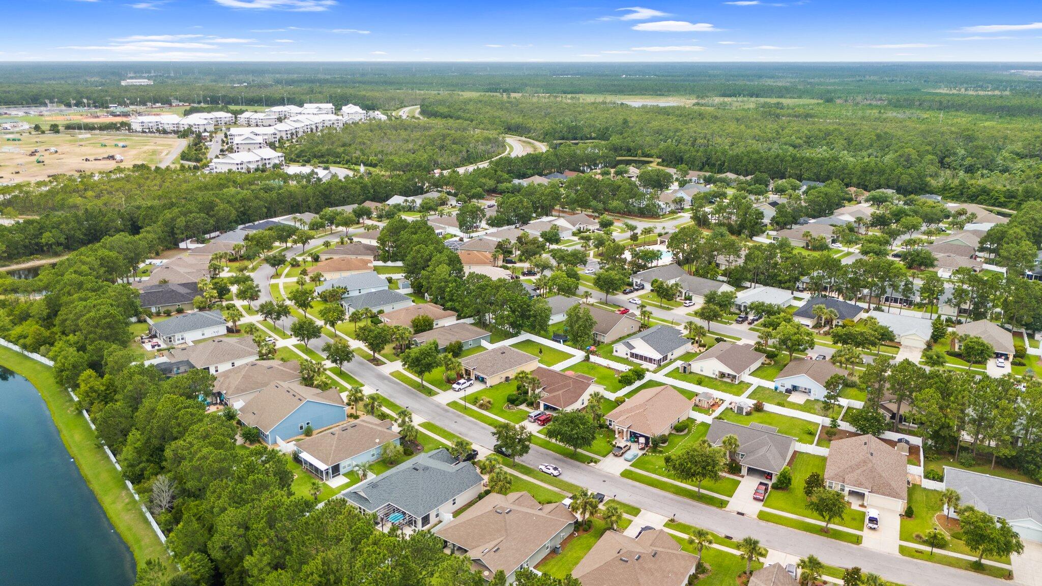 Palmetto Trace - Residential