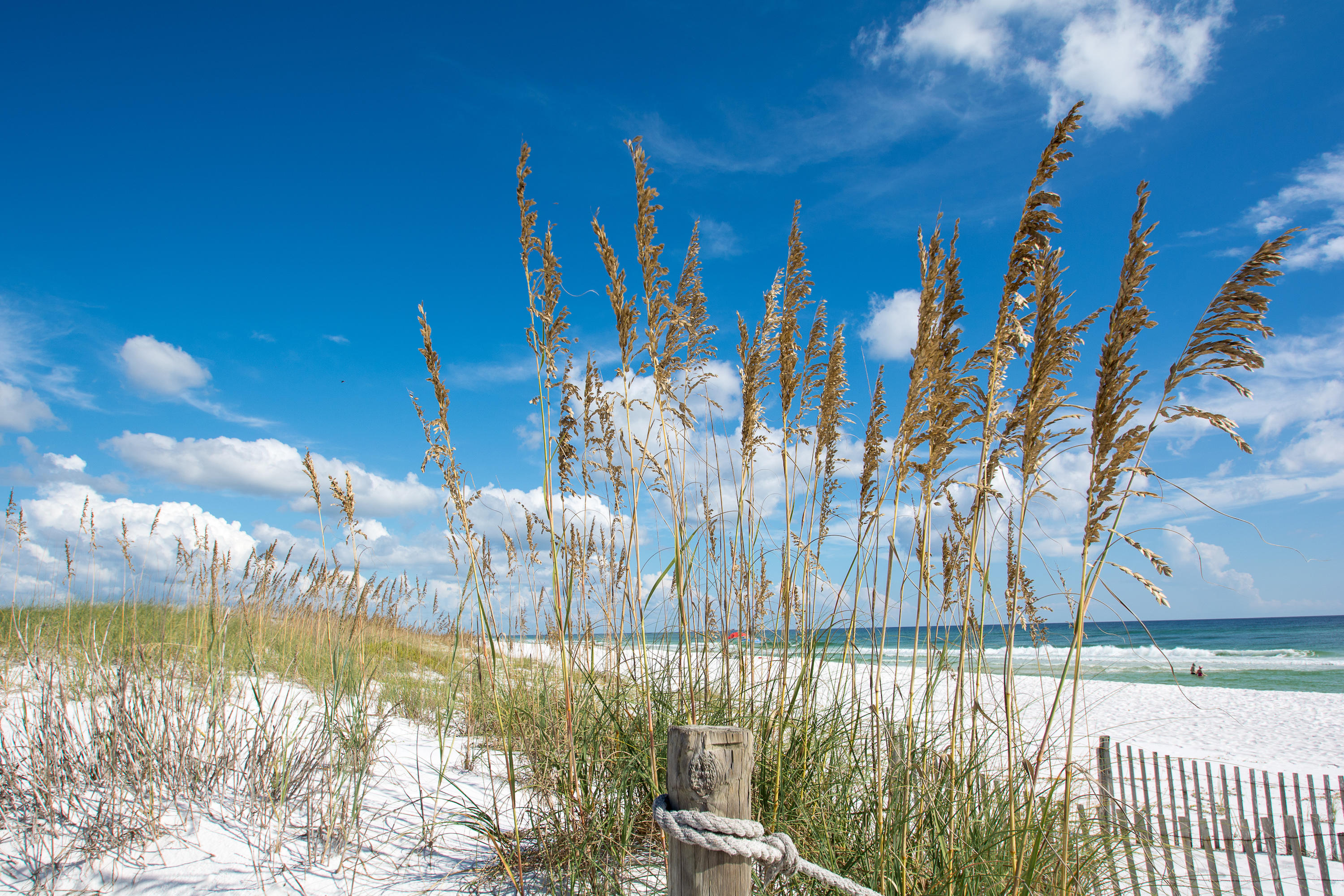 Village at Grayton Beach - Residential
