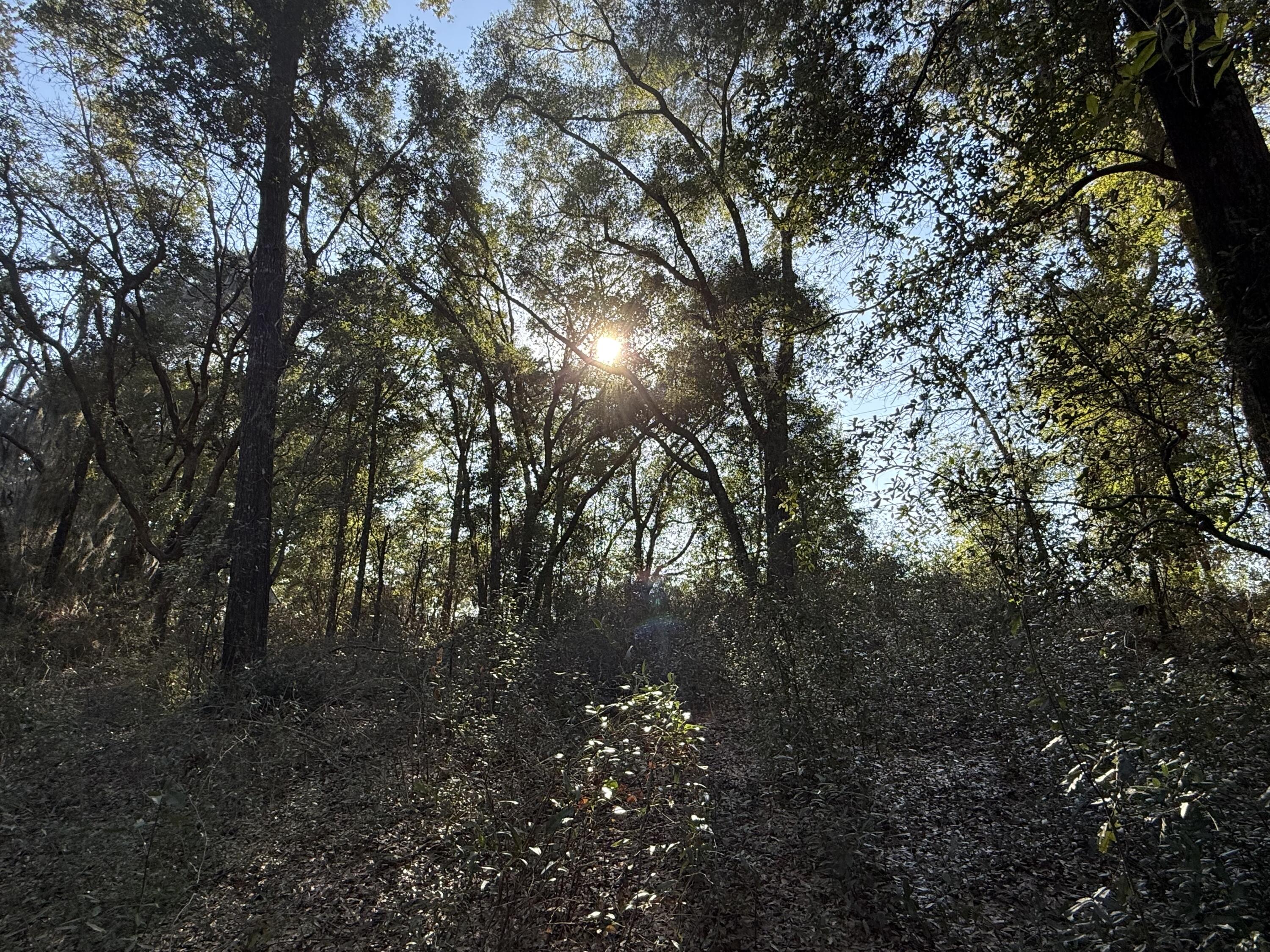 RIVER LAKE SUB - Land