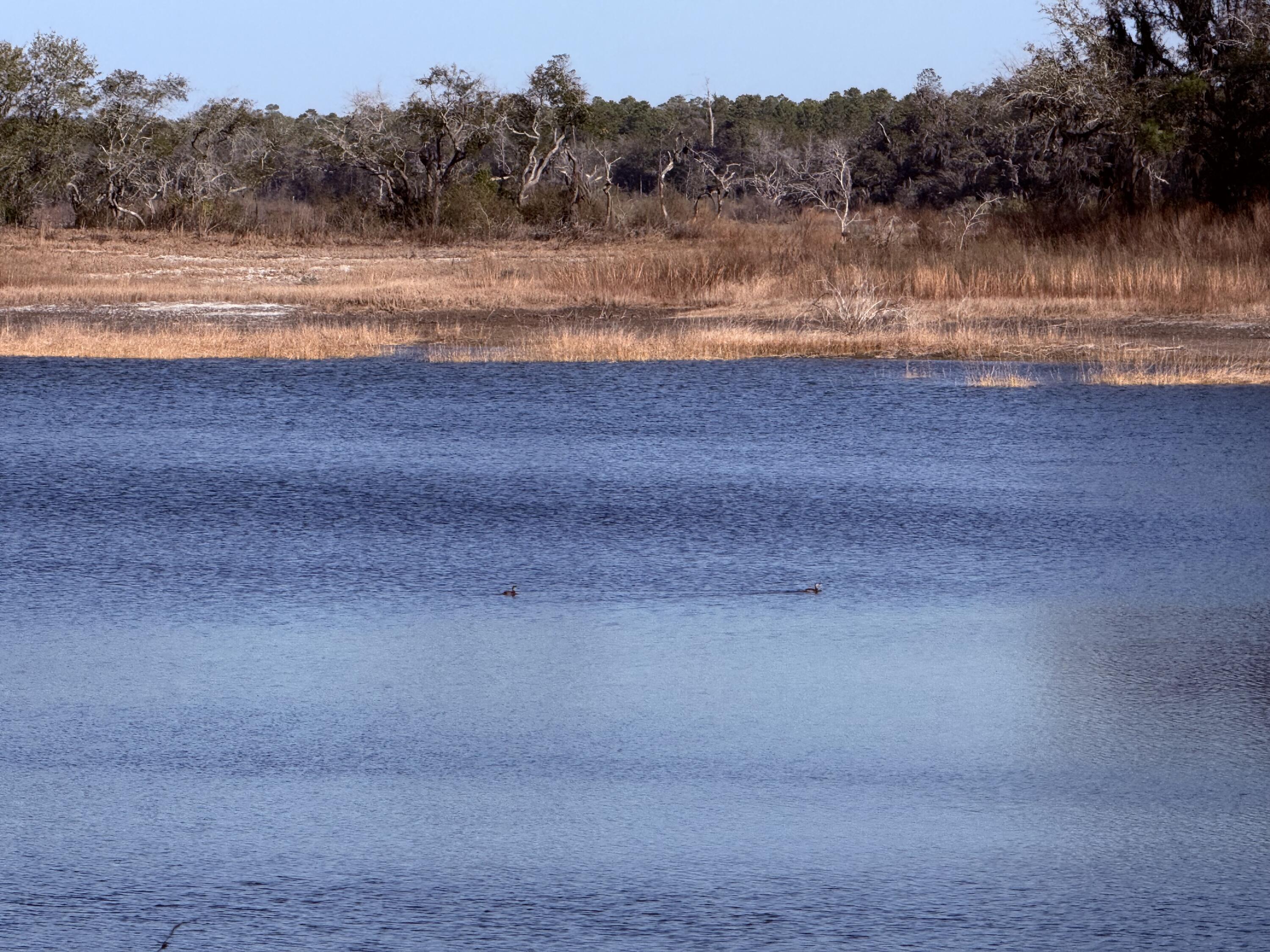 RIVER LAKE SUB - Land