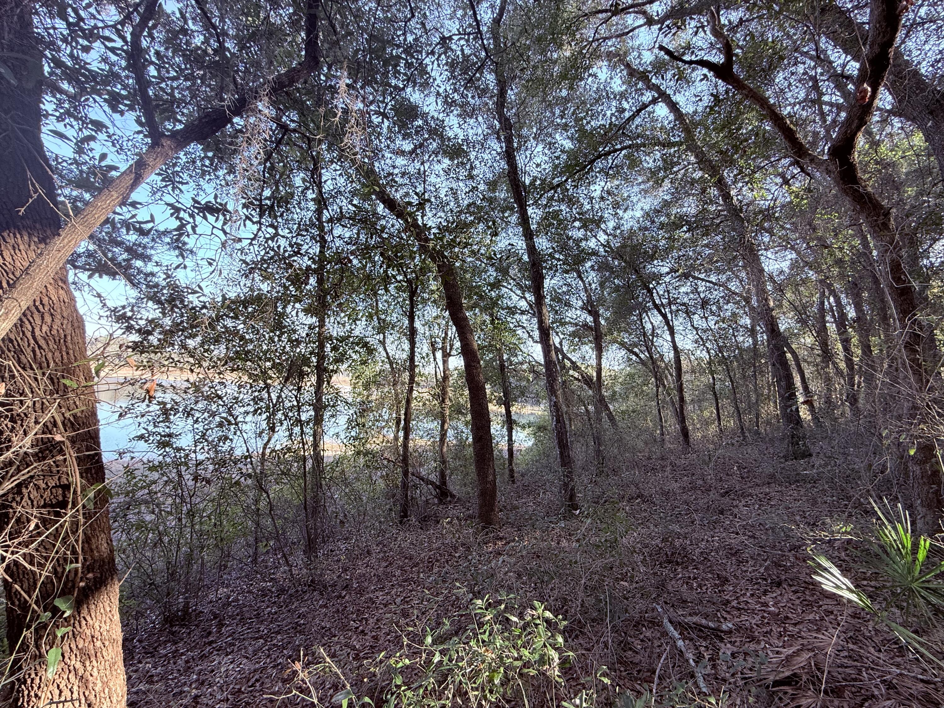 RIVER LAKE SUB - Land