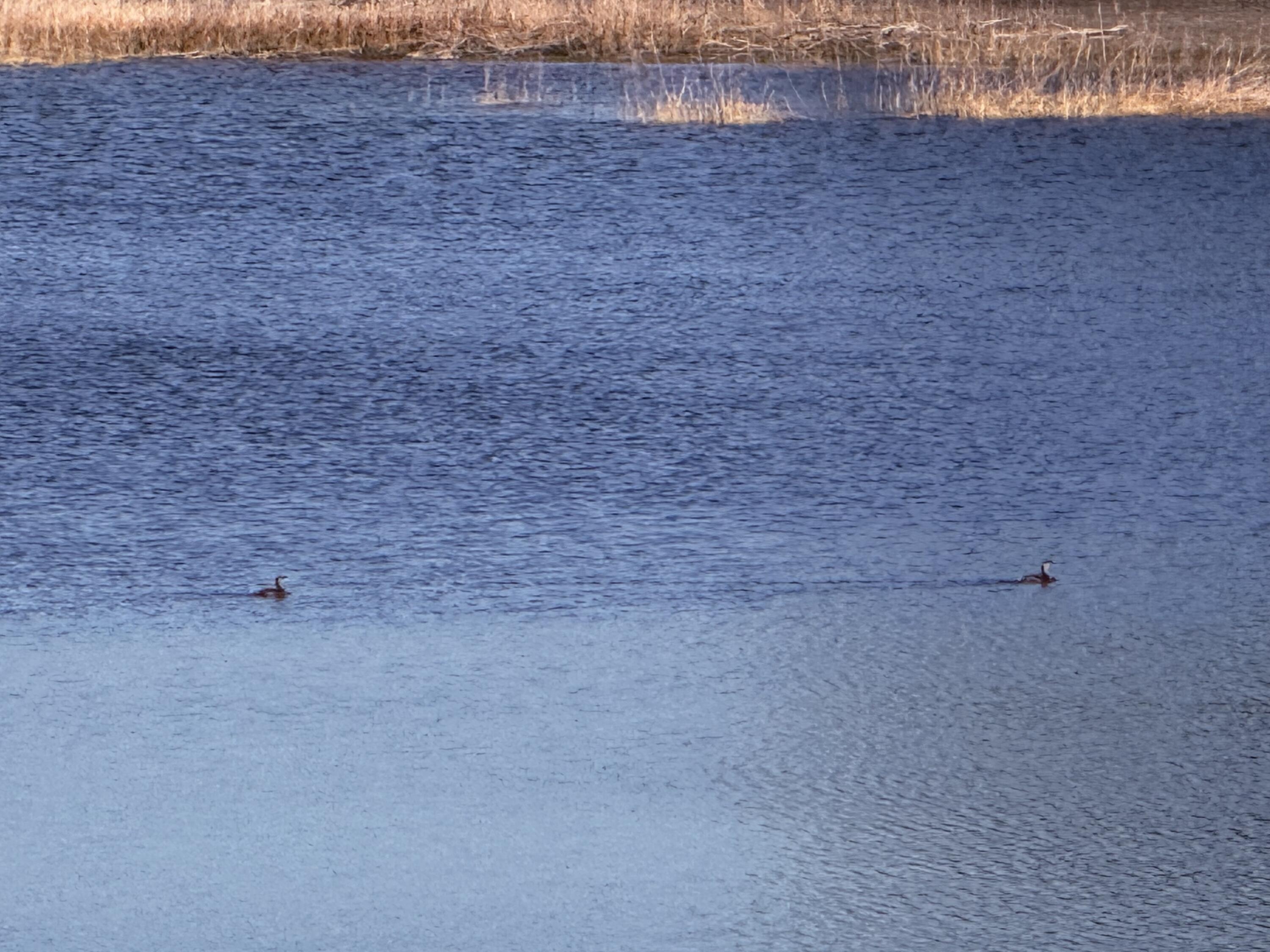 RIVER LAKE SUB - Land