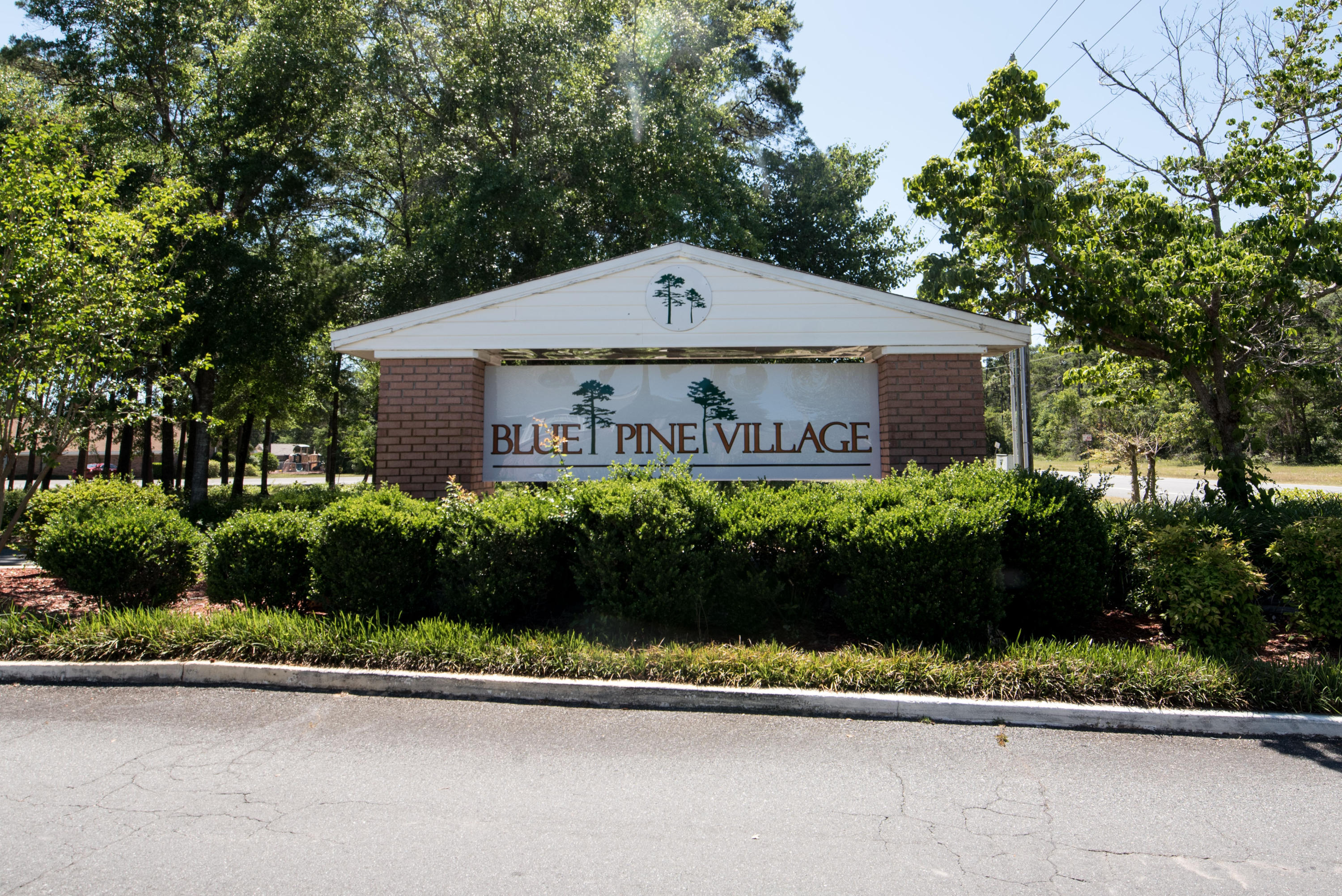 BLUE PINE VILLAGE PH 2 - Residential