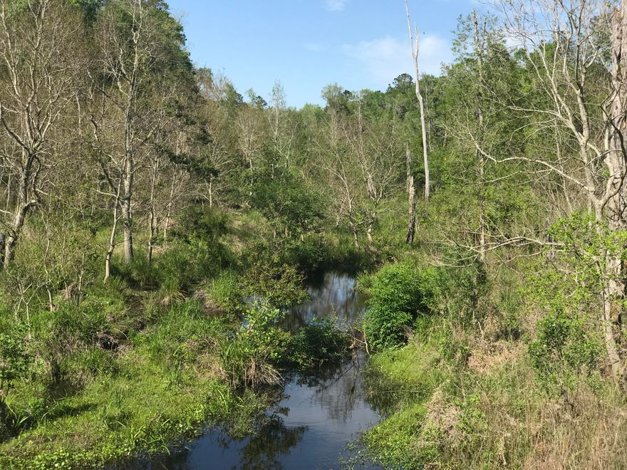 Great opportunity to purchase 13.1 acres of a really nice parcel in a planned subdivision. Subdivision was plotted but never materialized. Private Road into subdivision and subdivision has a 20' boundary easement for allowing owners to ride horses around the subdivision. Property is located as the FIRST PARCEL on the LEFT going into the Subdivision. Creek that runs through property at the backend is spring fed and is crystal clear water. Notice: Wildlife is present.