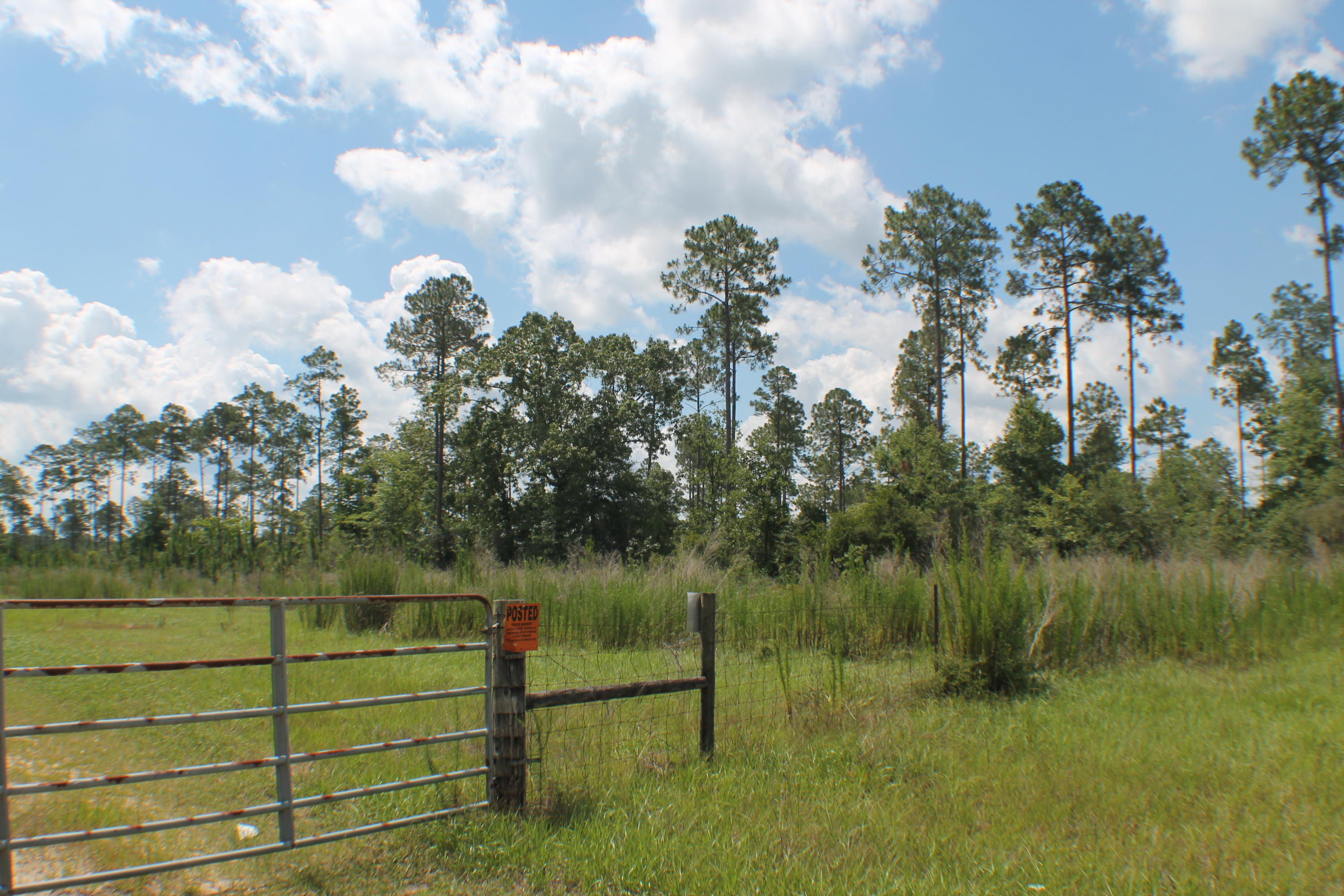 Yellow River Ranches - Land
