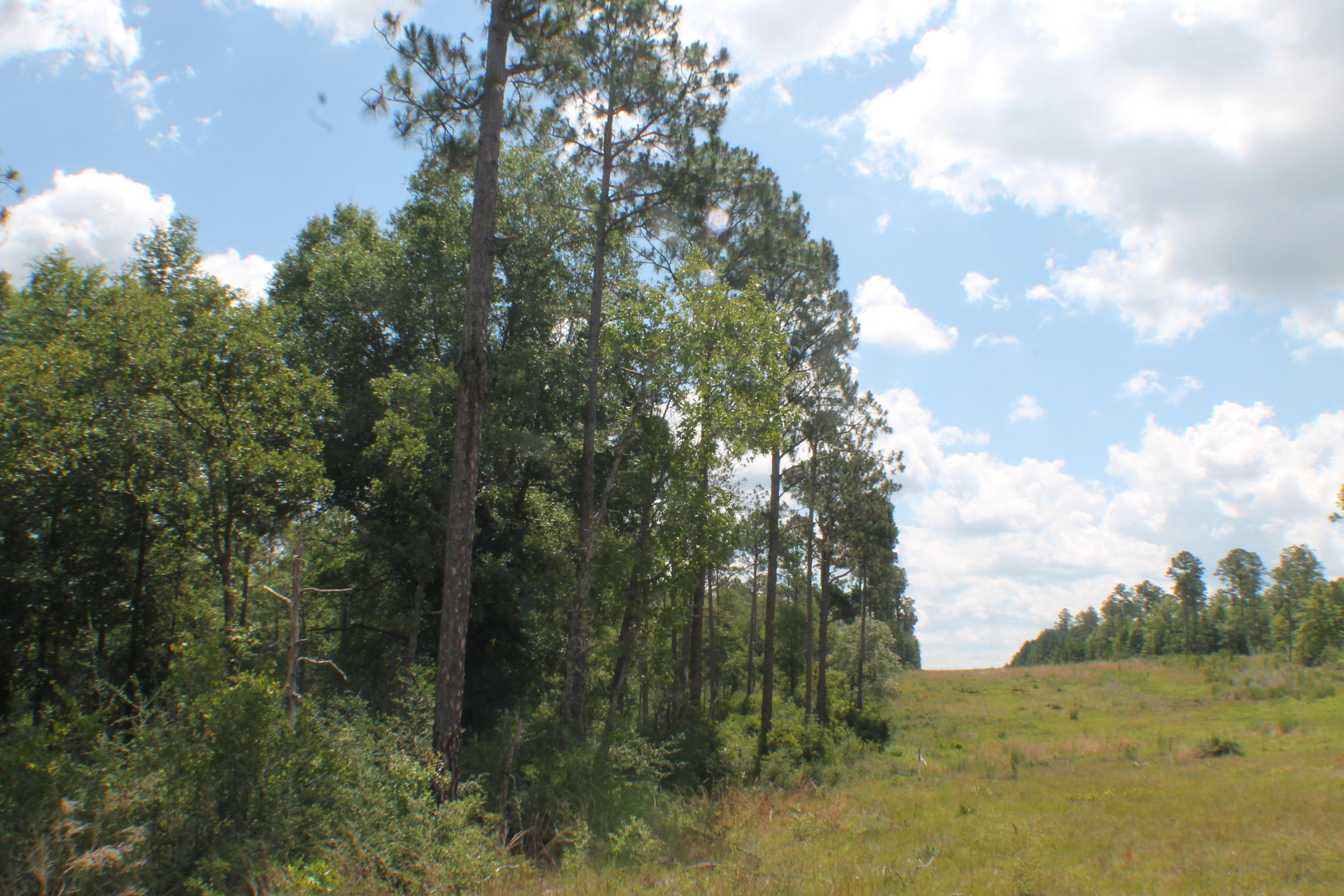 Yellow River Ranches - Land