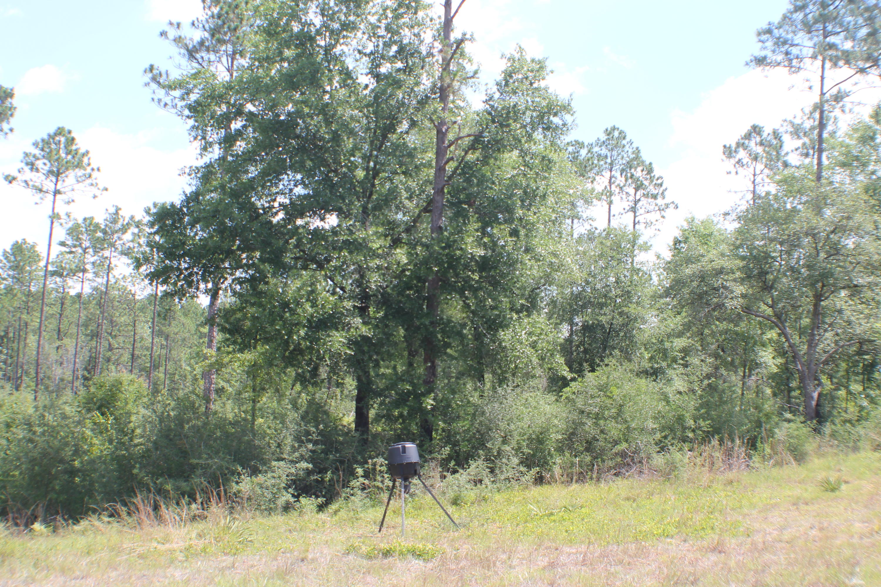 Yellow River Ranches - Land