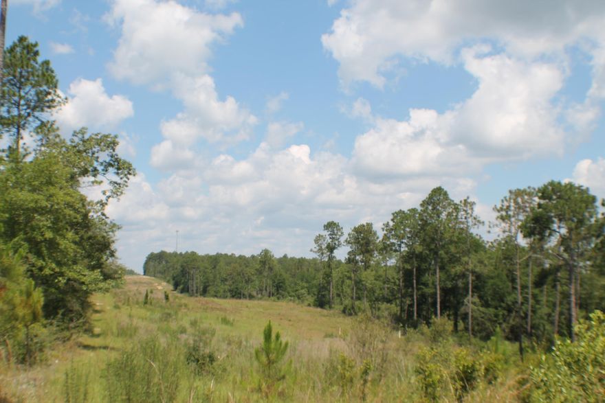 North Crestview development tract next to Yellow River Plantation. Paved road frontage. Planted Pines, under ground power near by. Rolling hills, beautiful sunsets over the Yellow River Valley. This is out of the river flood zone! Deer and Turkey Galore! Bring your horses and four-wheeler fun! Development wow! Priced to move fast!