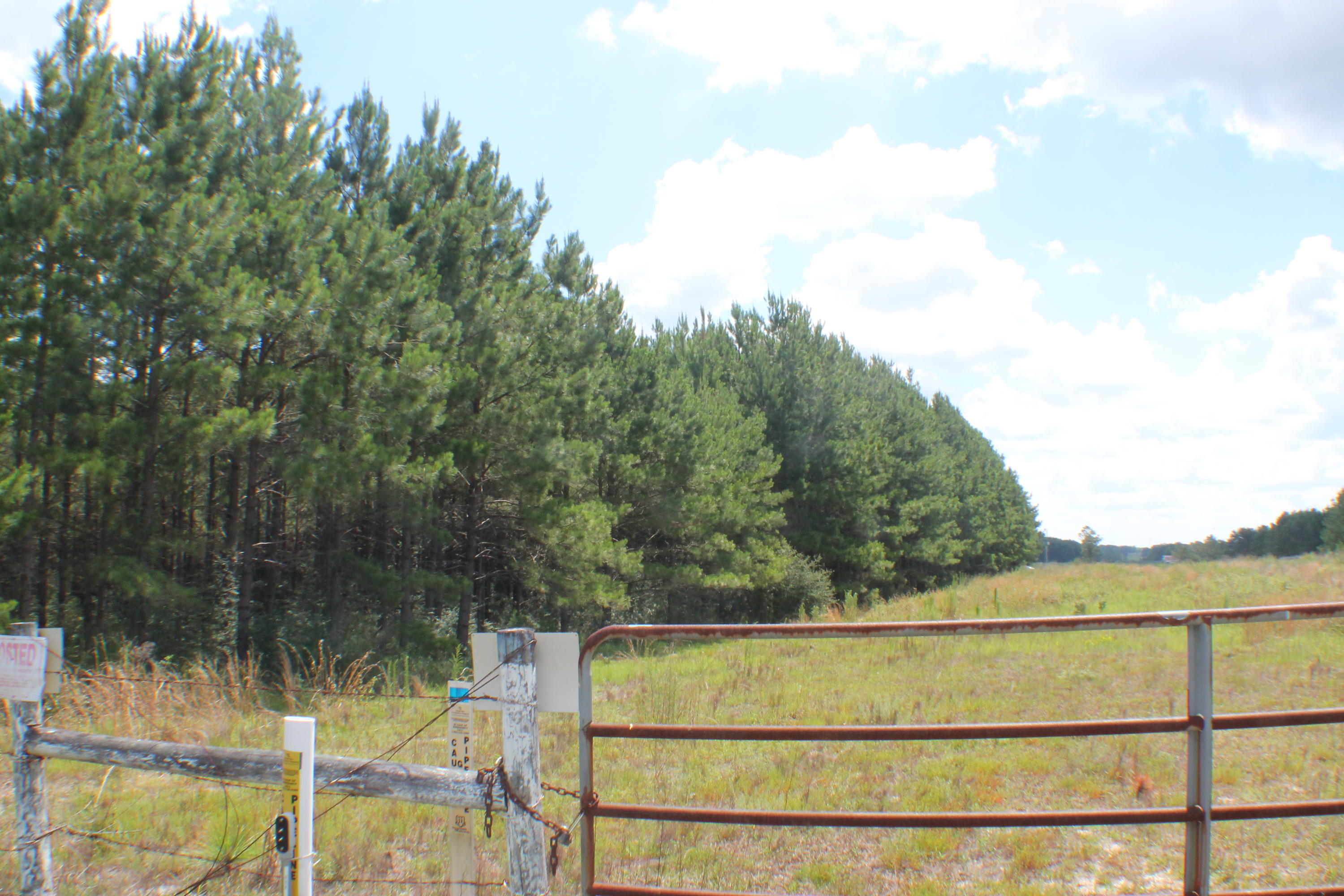 Yellow River Ranches - Land