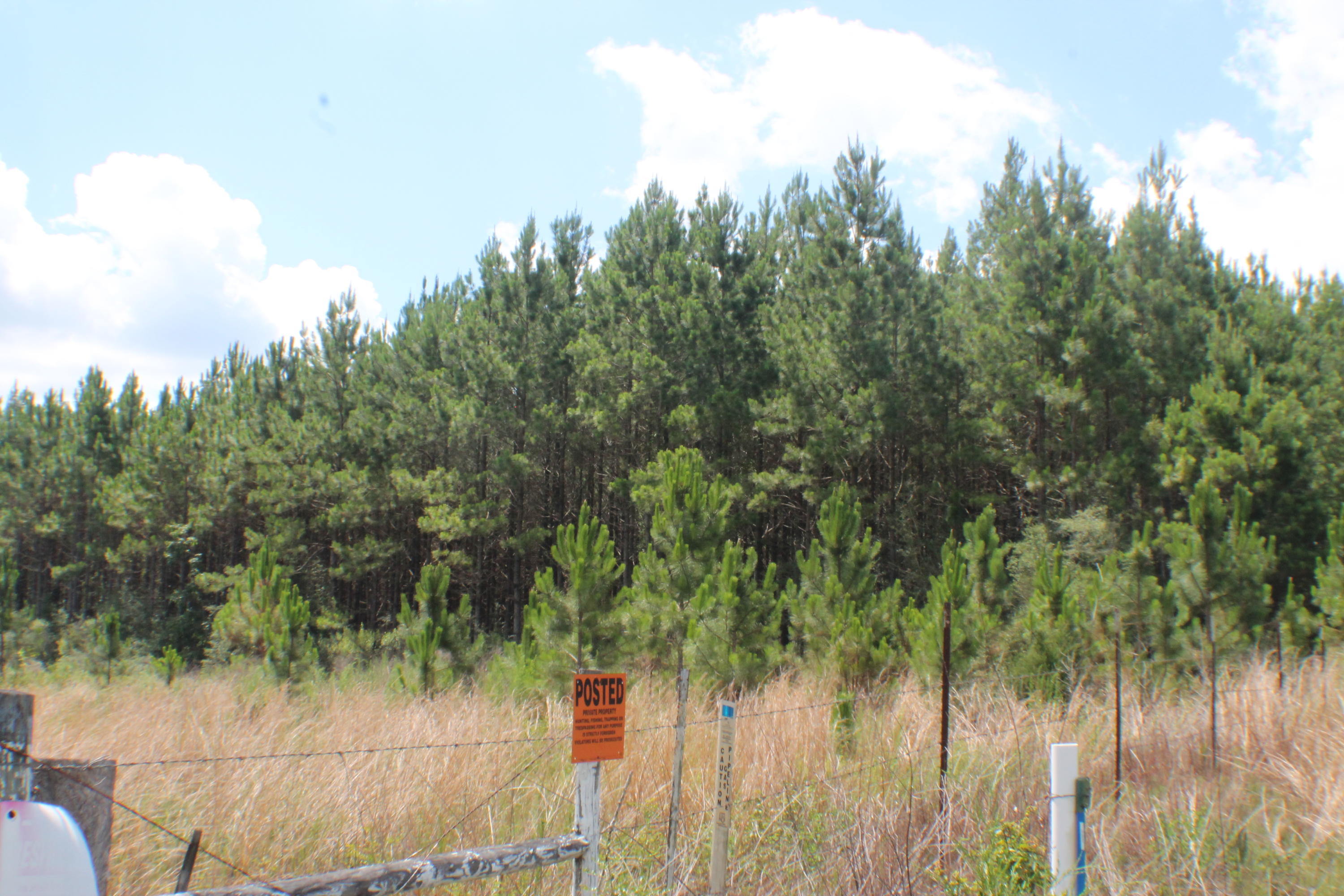 Yellow River Ranches - Land