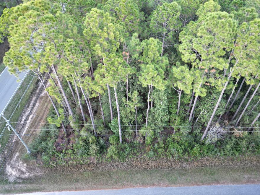 Build your new home on this corner lot in a nature lovers paradise in a secluded community just steps from the Blackwater Bay where you can enjoy fishing and water activities.  Only 10 minutes from I-10 and 15 minutes to downtown Milton, FL shopping. In 20-25 minutes you can enjoy all the activities of Pensacola and the Gulf Coast Beaches. . No Home Owner Association fees. Flood Zone X. BRING ALL OFFERS