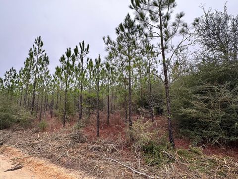 Tract#6418 S Mattox Springs Road S4 Caryville FL 32427