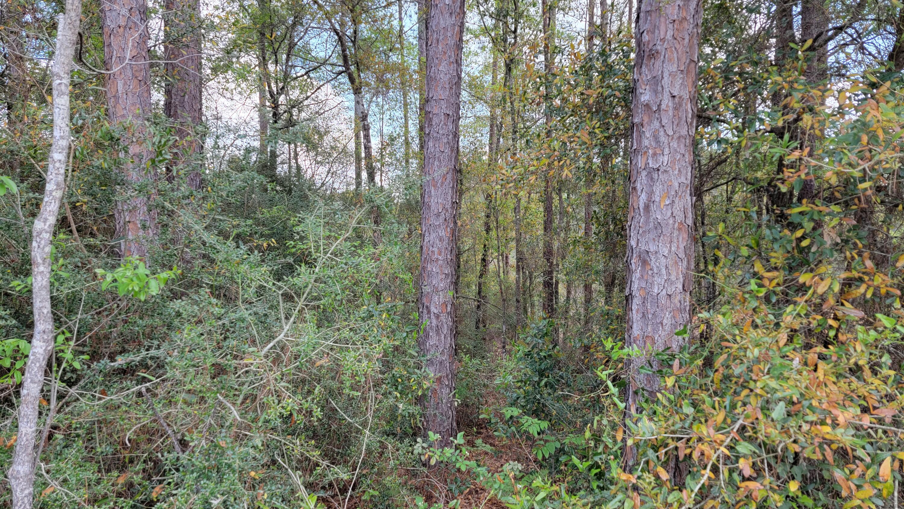 TRIPLE LAKES ESTATES - Land