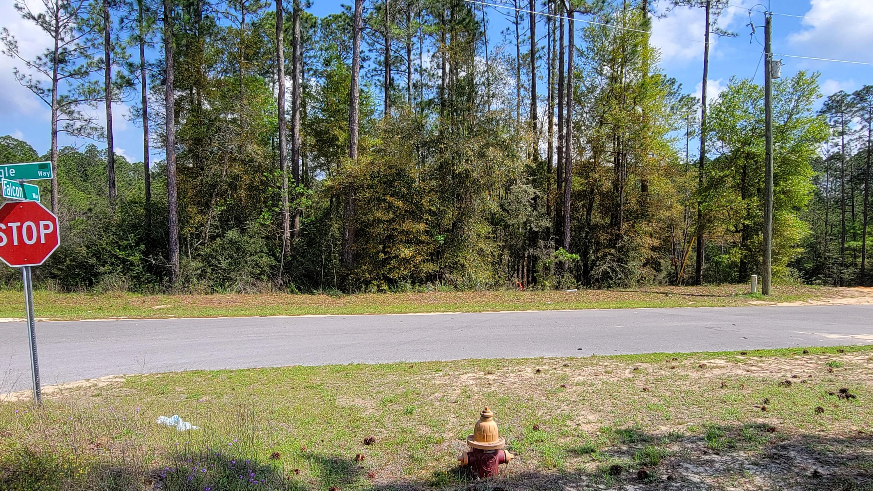 TRIPLE LAKES ESTATES - Land