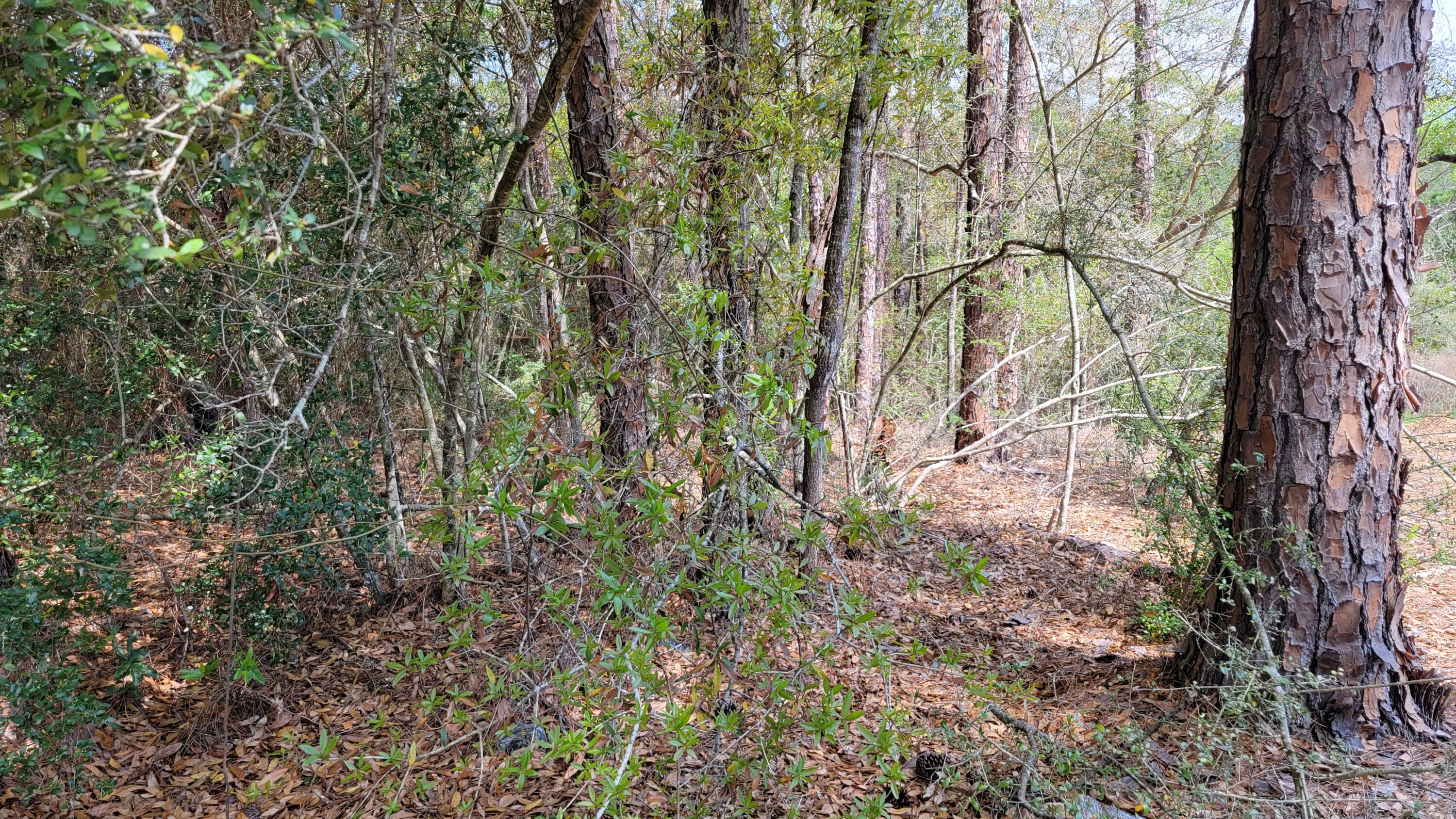 TRIPLE LAKES ESTATES - Land