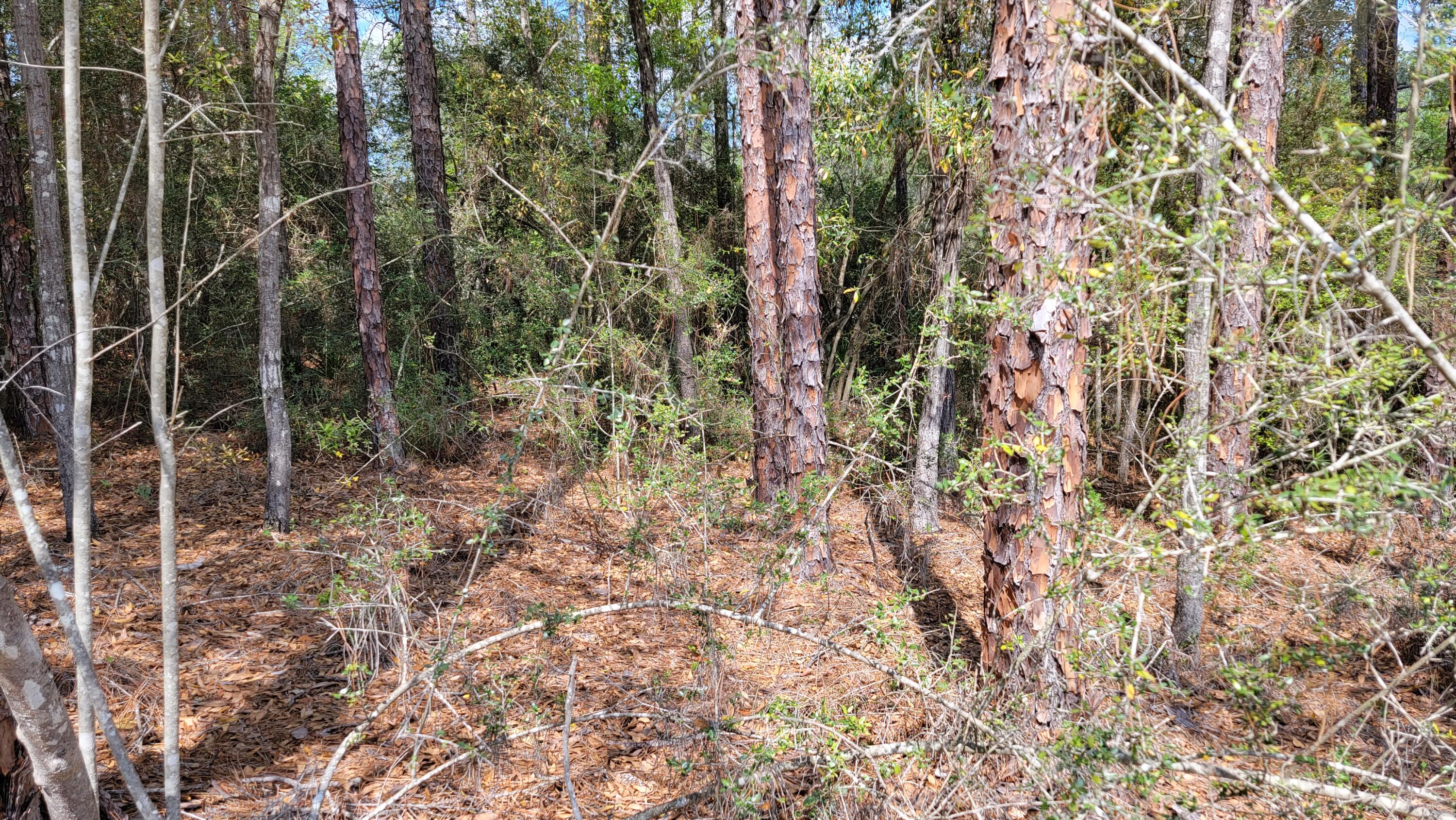 TRIPLE LAKES ESTATES - Land