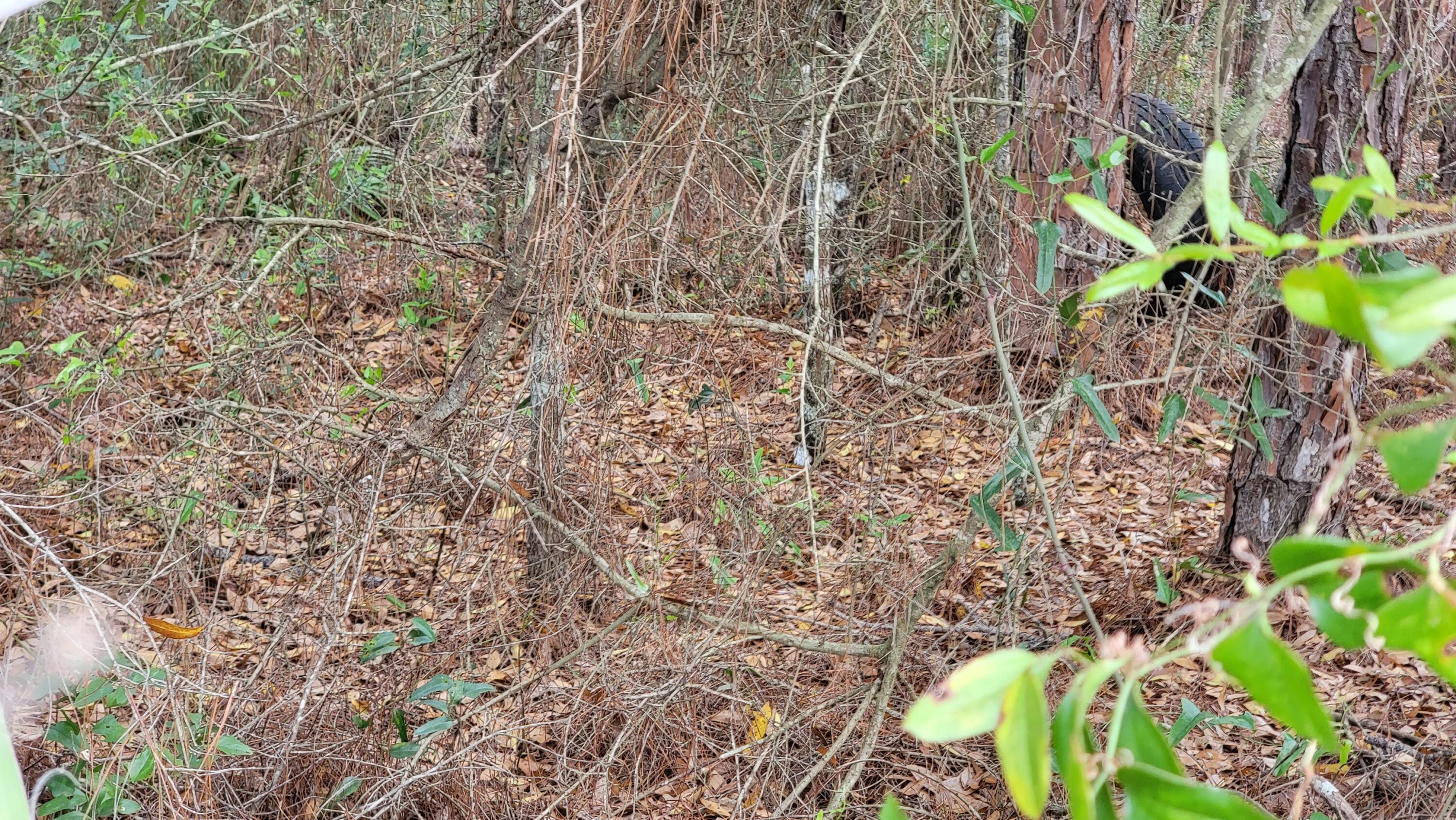 TRIPLE LAKES ESTATES - Land