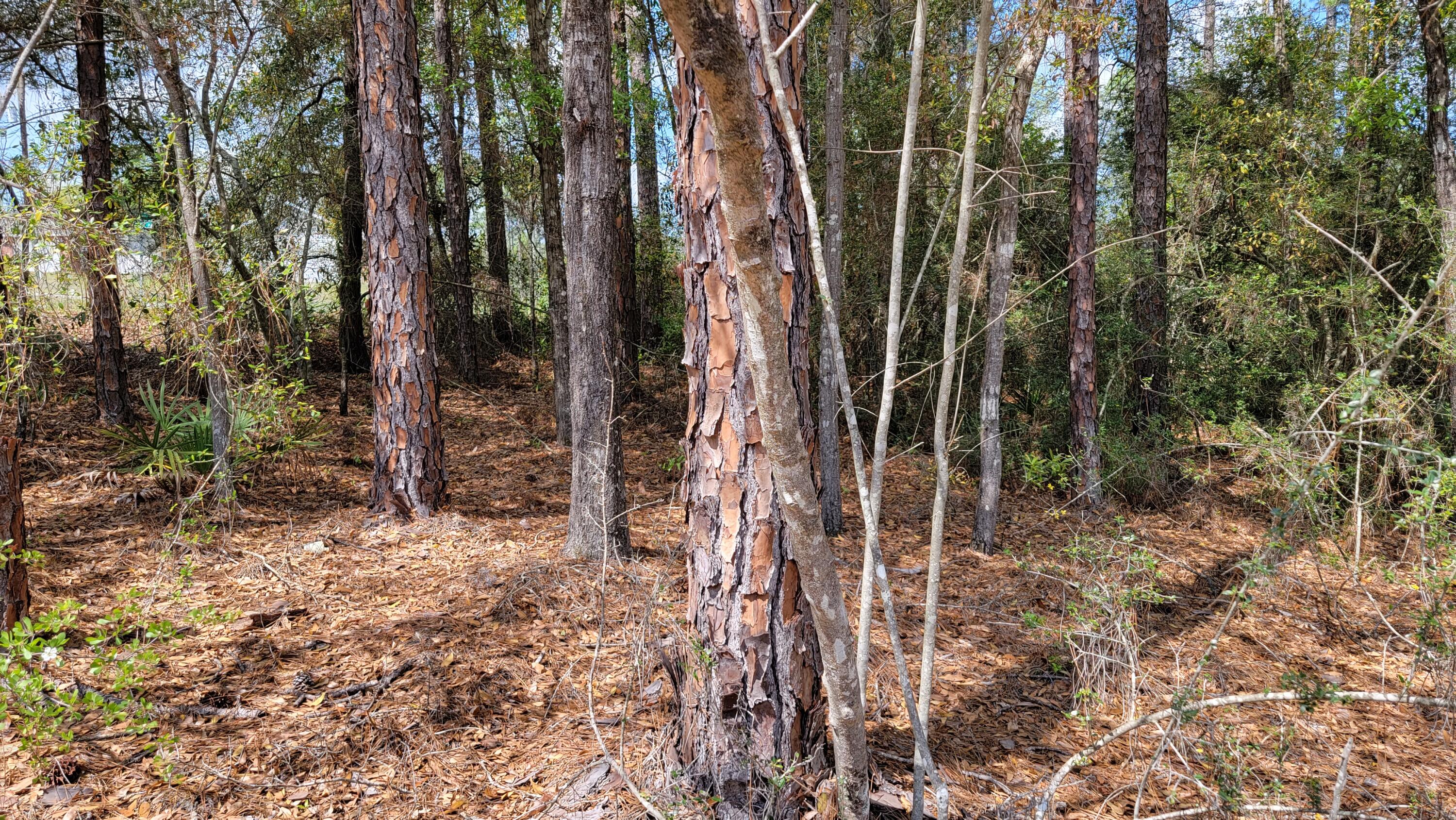 TRIPLE LAKES ESTATES - Land