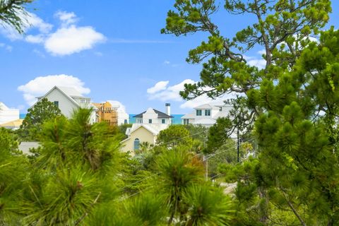 A home in Santa Rosa Beach