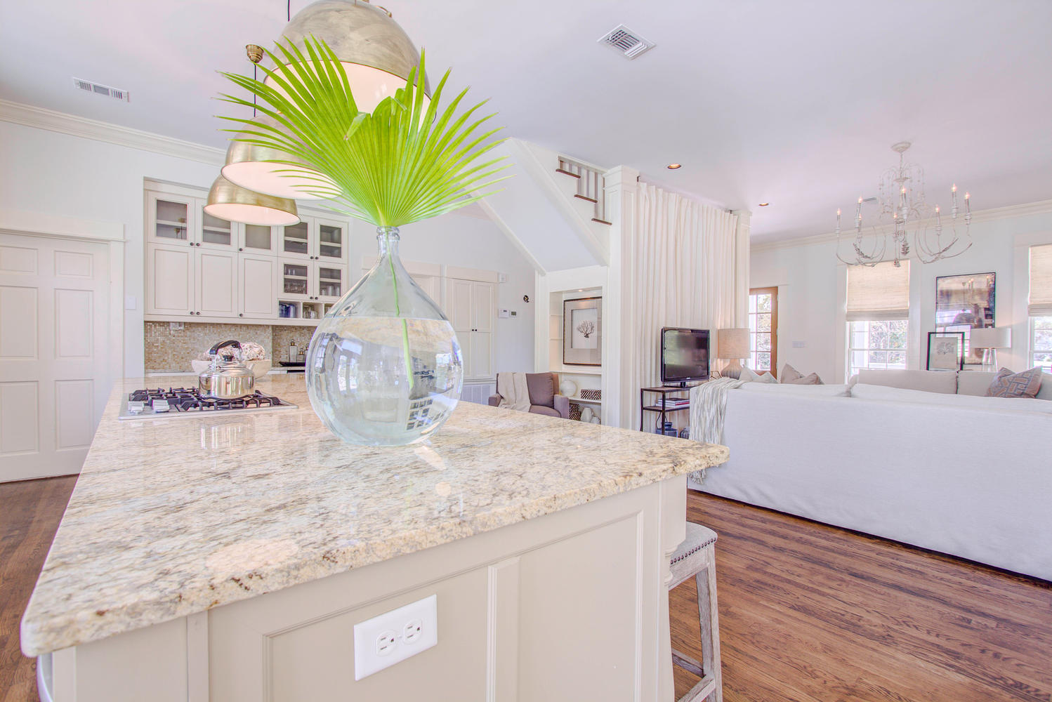 INLET BEACH - Residential