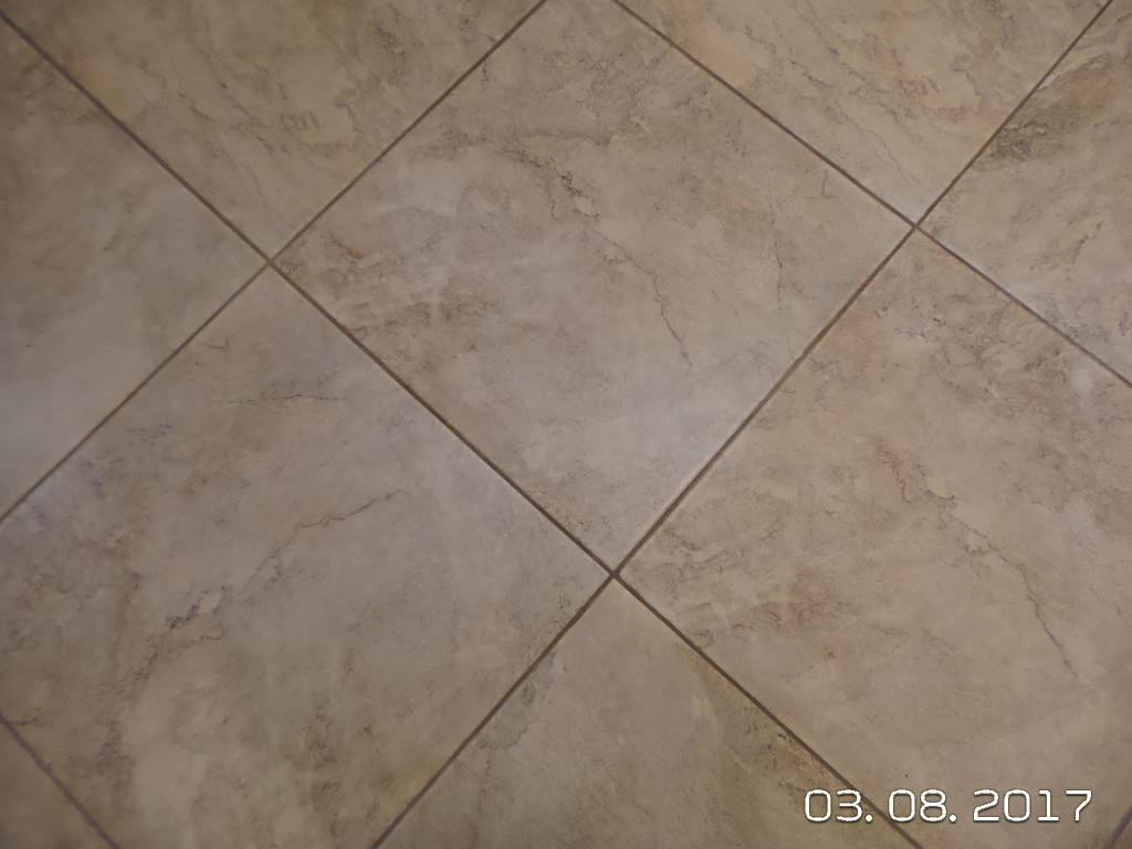 TRAILWOOD ESTATES - Residential Lease