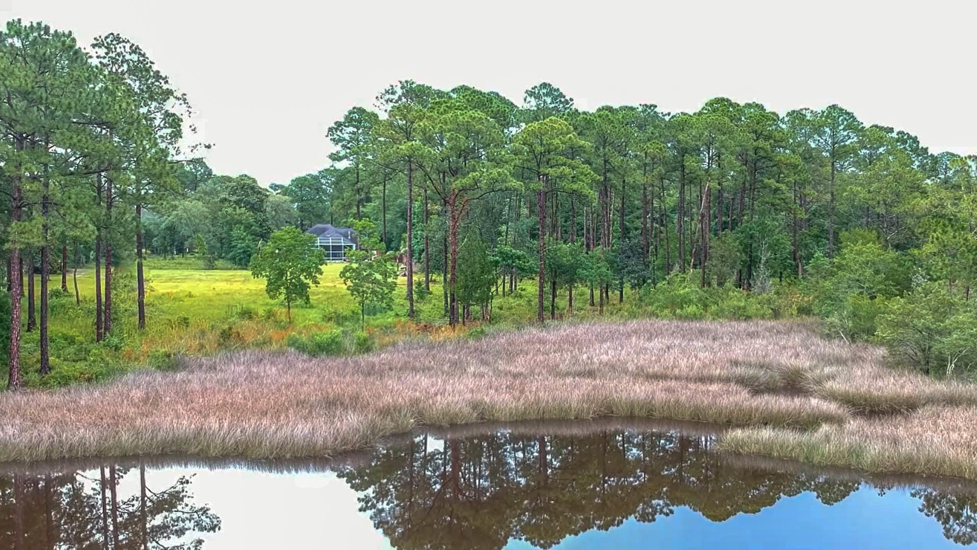 LYNN HAVEN - Residential