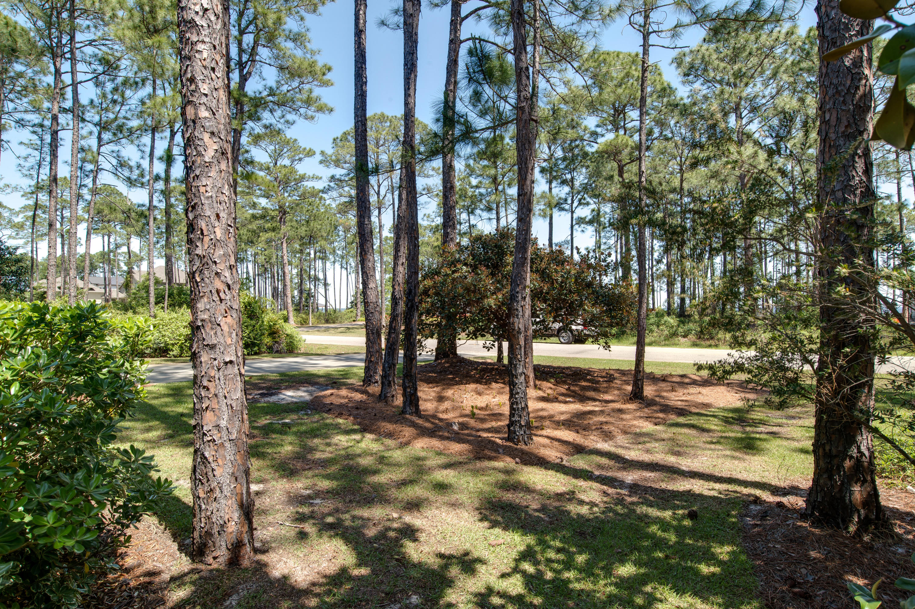 DRIFTWOOD ESTATES - Residential