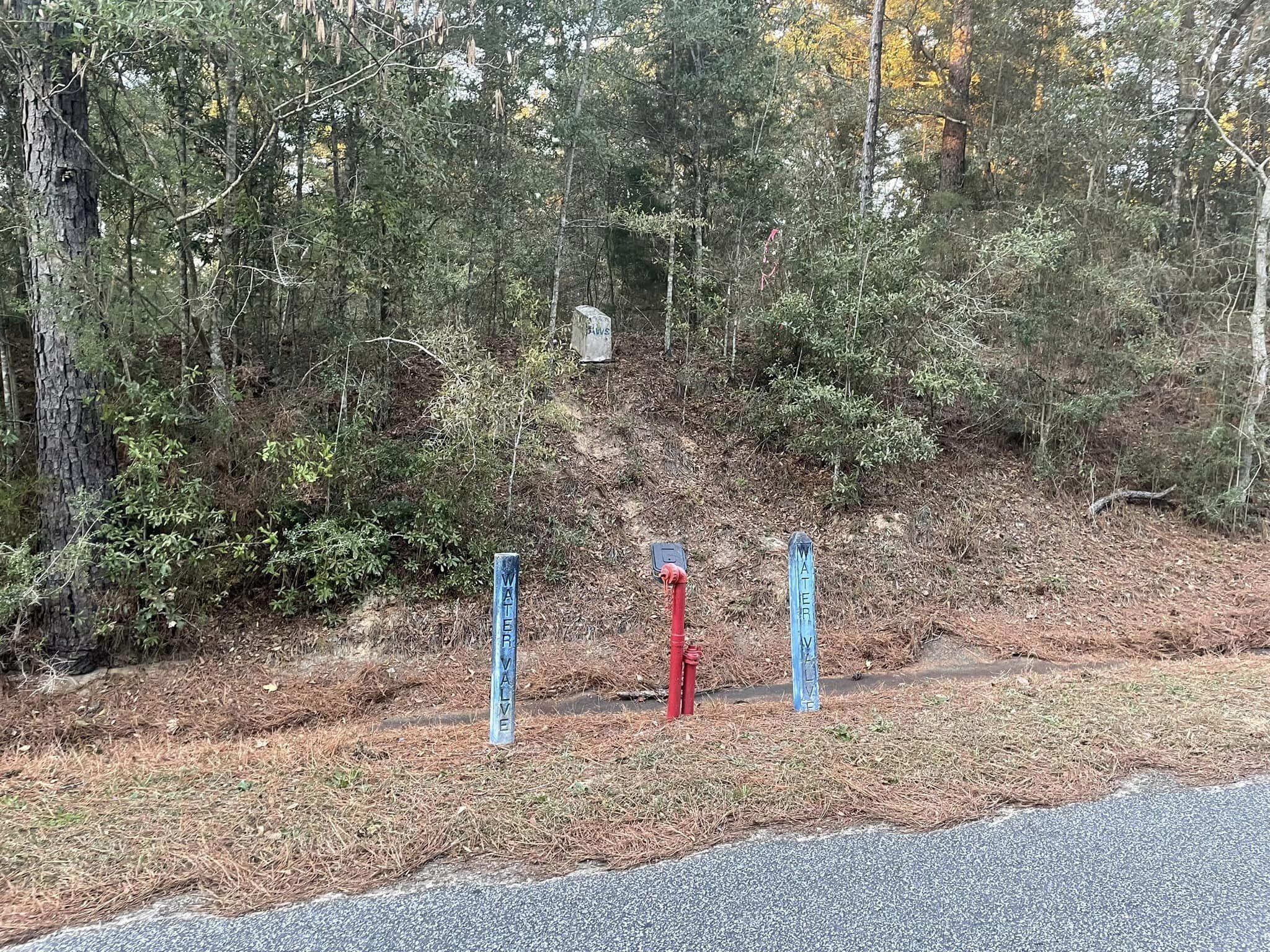 TOWN OF DEFUNIAK SPRINGS - Land