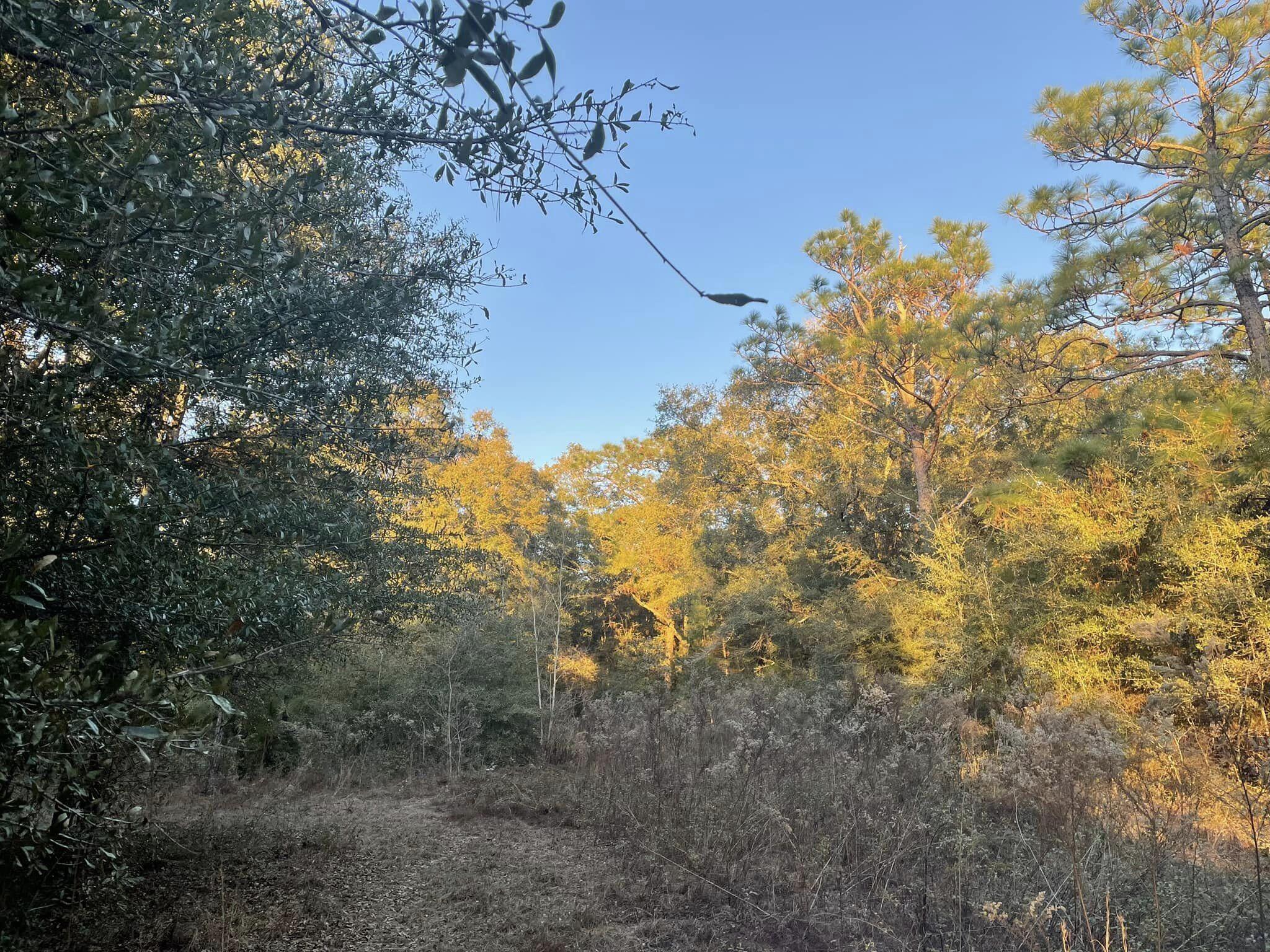 TOWN OF DEFUNIAK SPRINGS - Land