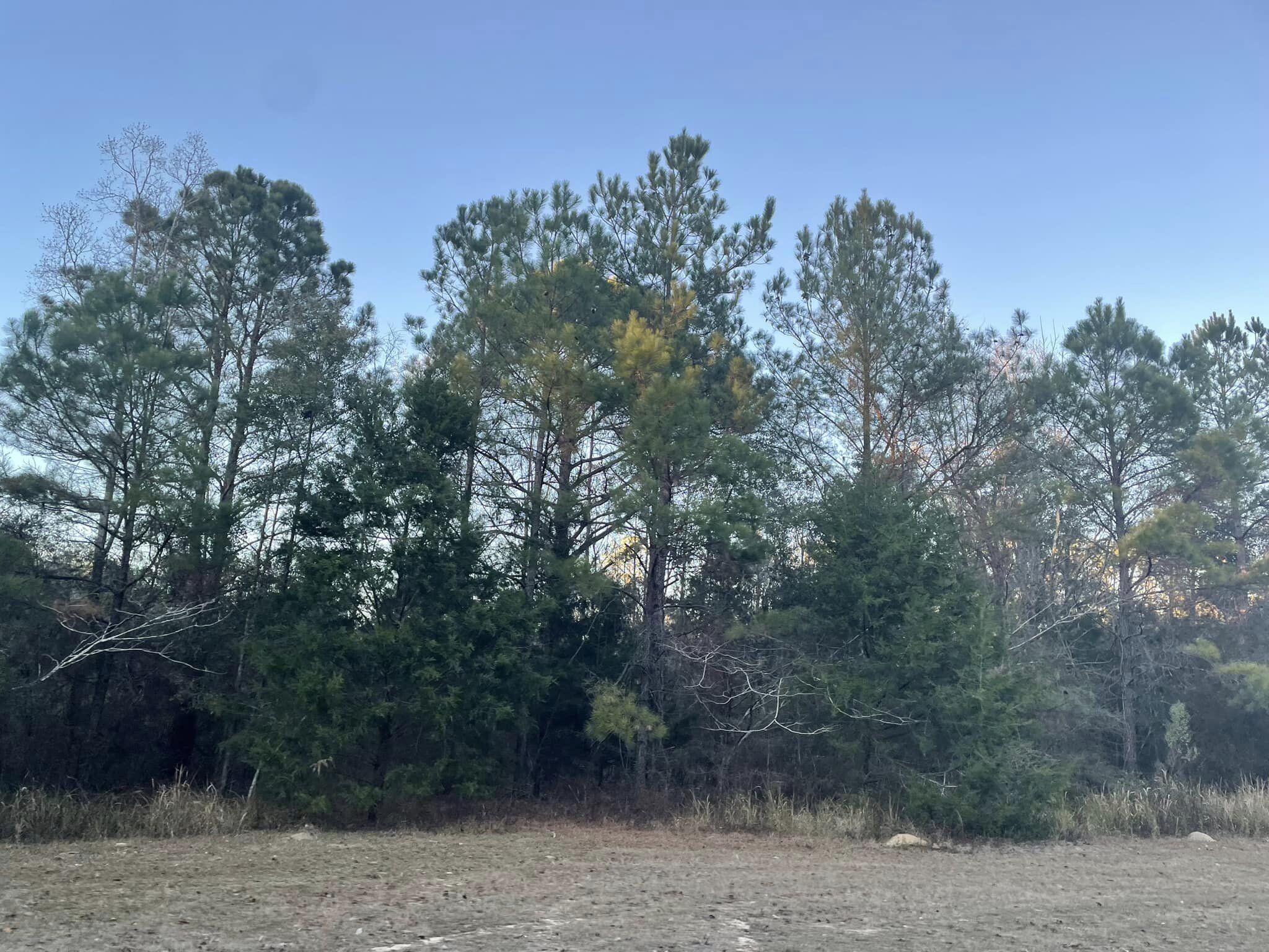 TOWN OF DEFUNIAK SPRINGS - Land