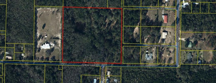 It is extremely rare to find a ten acre parcel within the City Limits of DeFuniak Springs. There is so much potential to this property, it already has power run 400 plus feet down the driveway and city water is available at the road (tap is not paid). The property also has an artesian spring and pond, along with a 2.59 acre conservation easement. Approximately six acres are high and dry and not a part of the conservation easement. This property would be phenomenal for an estate or for potential development as a previous development order was approved for a multi-family development (documents are available upon request). All new development orders would need new approval and zoning would need to be changed. Do not let this opportunity pass you by!