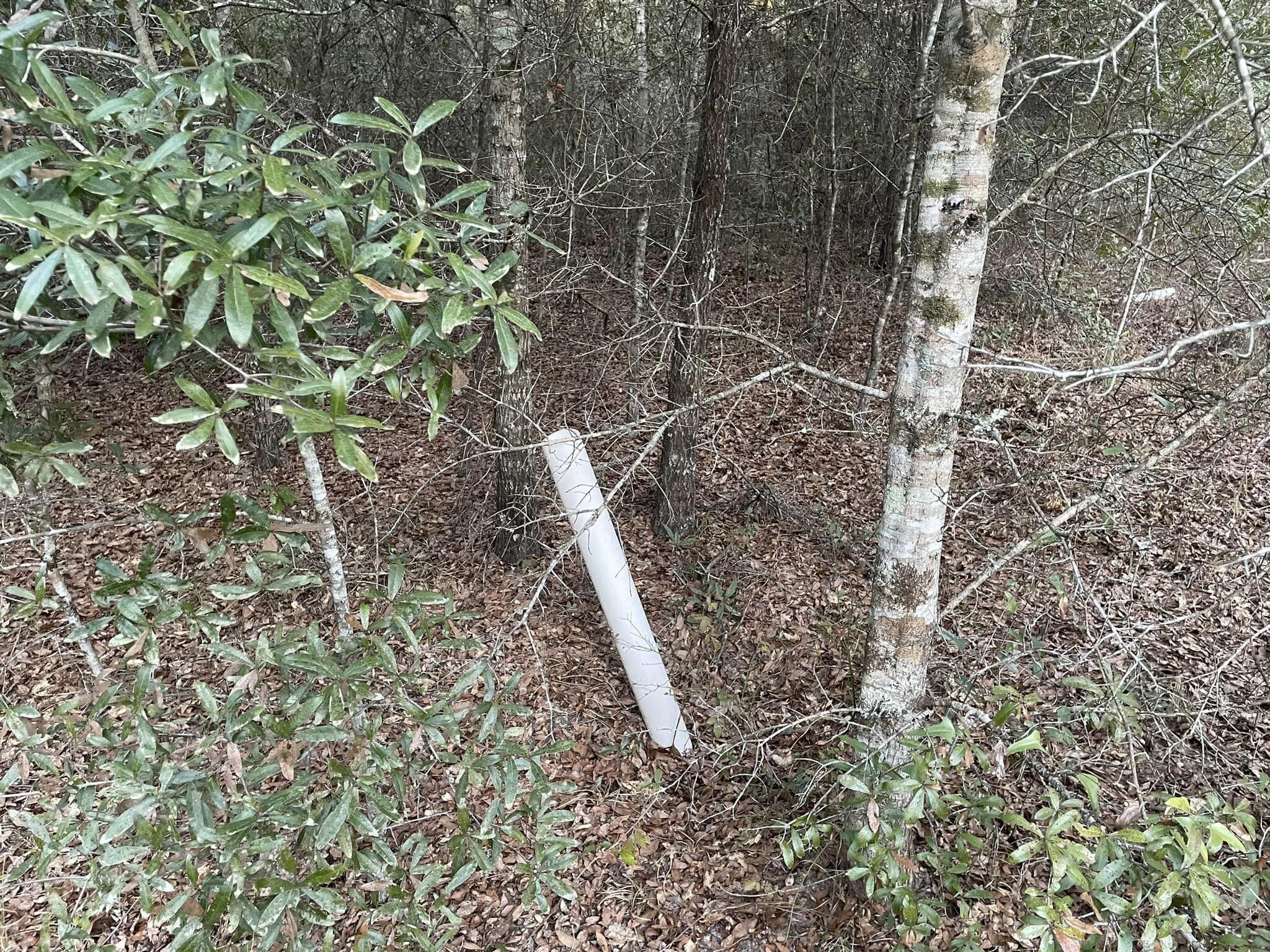 TOWN OF DEFUNIAK SPRINGS - Land