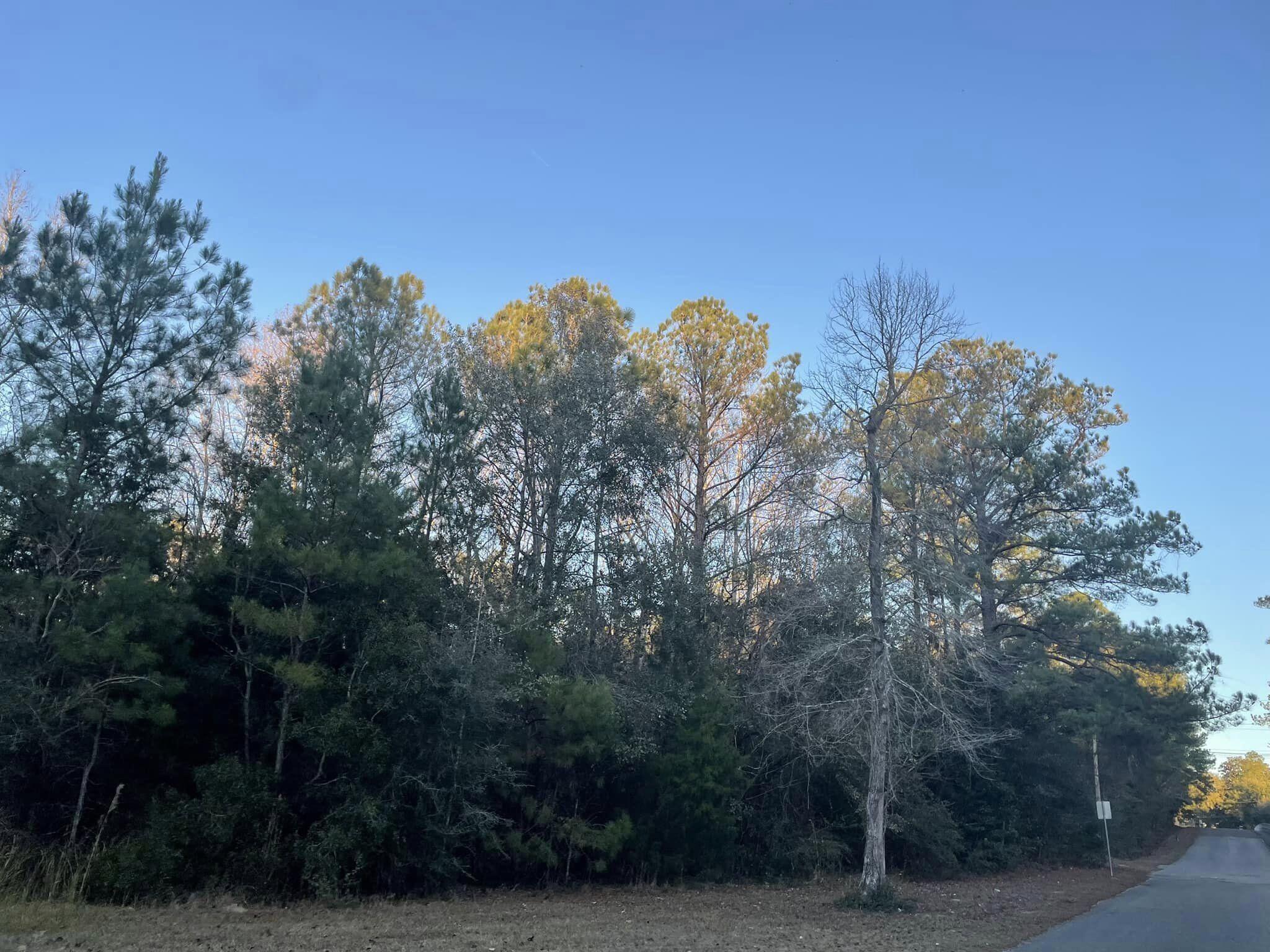 TOWN OF DEFUNIAK SPRINGS - Land