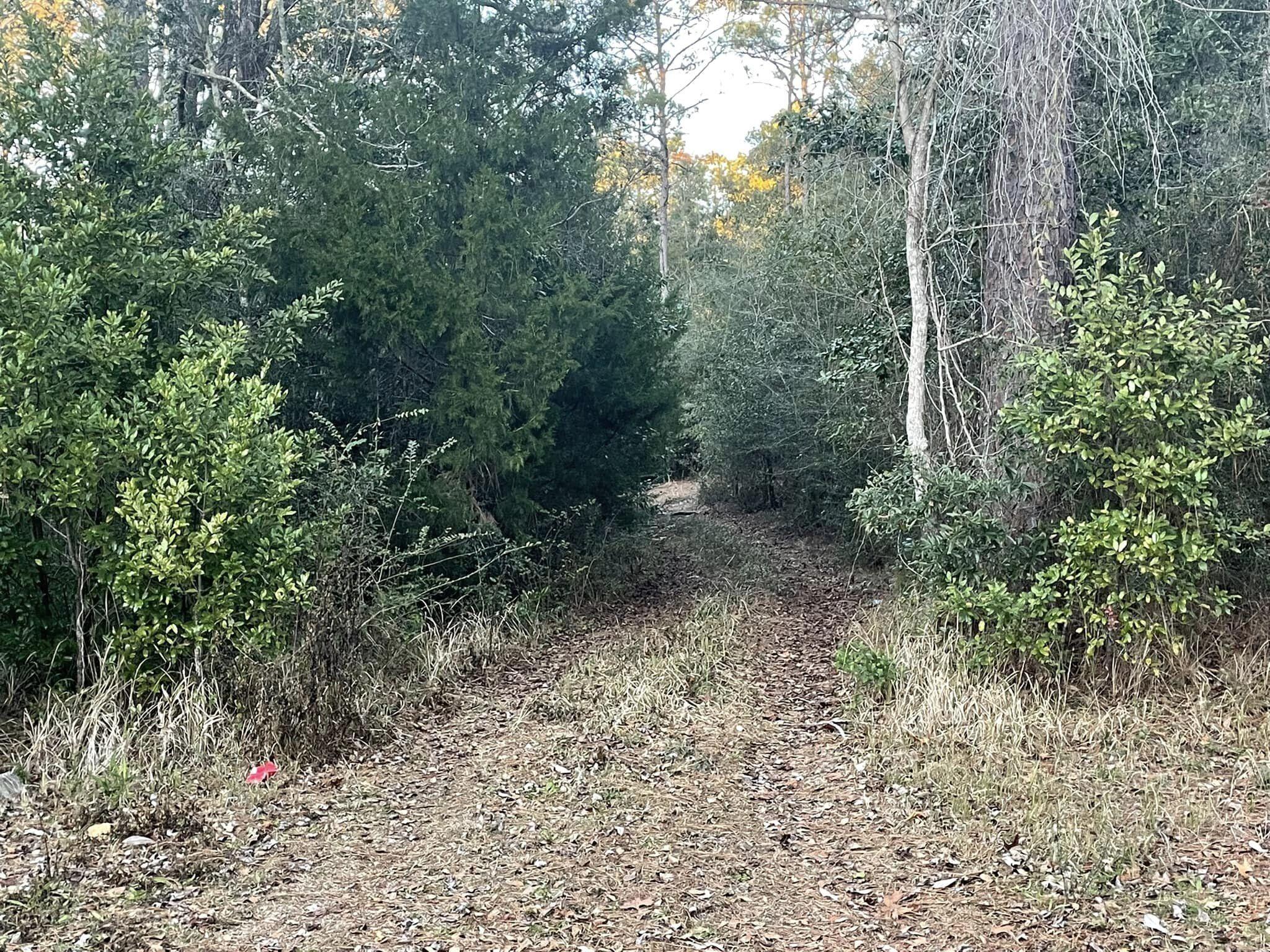 TOWN OF DEFUNIAK SPRINGS - Land