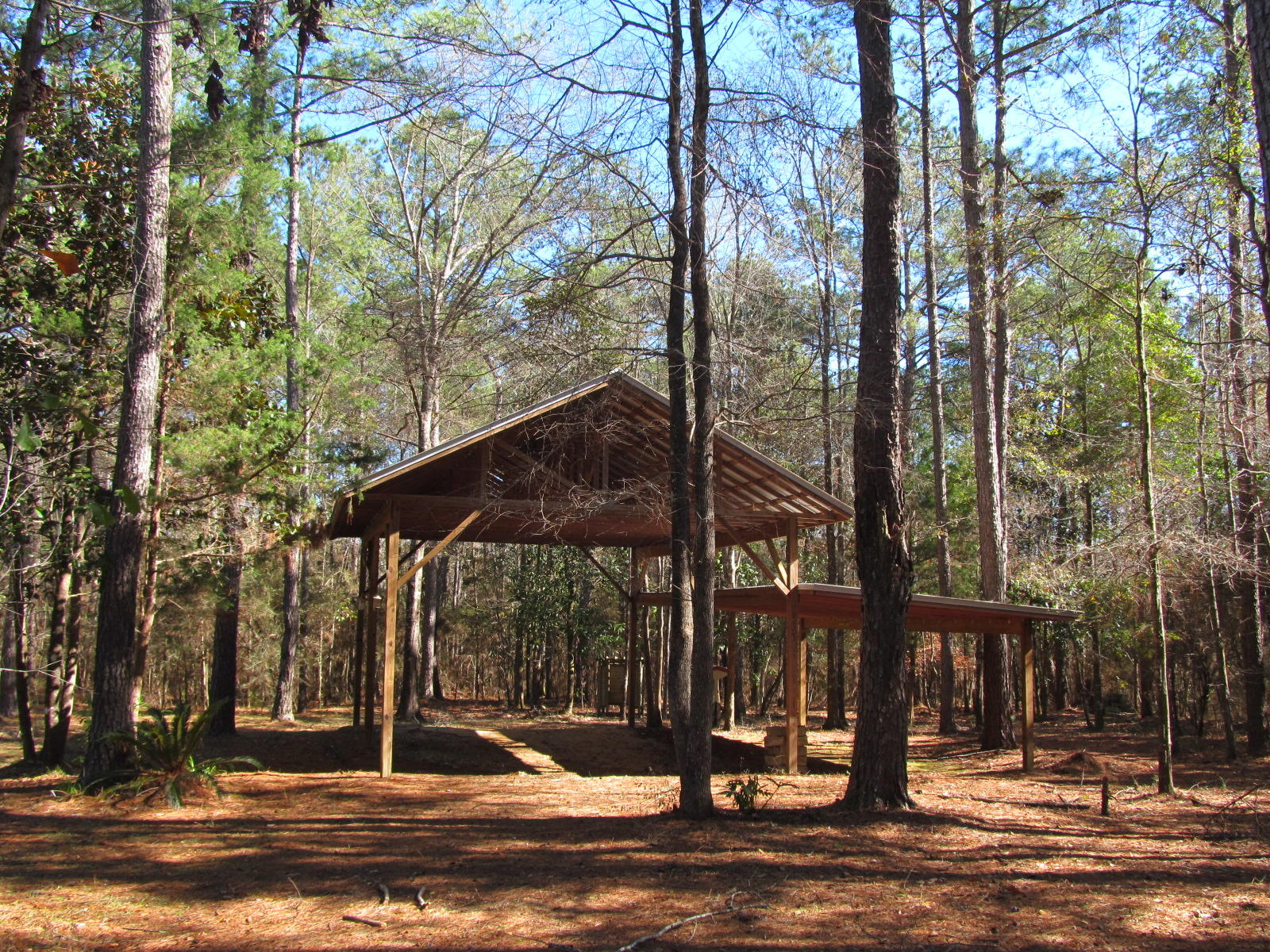 SELLER FINANCING AVAILABLE. 5 wooded acres. RV hook up in place and ready to go including well, septic, electricity, RV barn and poured foundation for a 2179 S.F. house. Plans available.Seller financing with 20% down, 8% interest, amortized for 10 years and paid monthly at 669.73