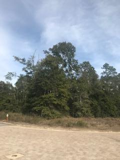 BEAR CREEK COTTAGES - Land