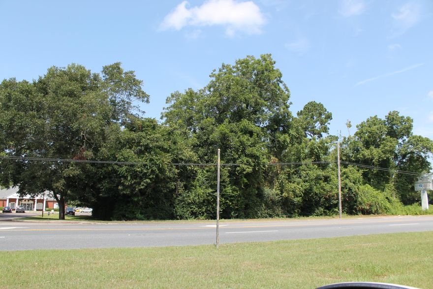 Level 1/2 acre vacant commercial land on HWY 85 . New development all around! Traffic count wow! Dot says 23,500 trips per day! Brig your business and floor plans today!