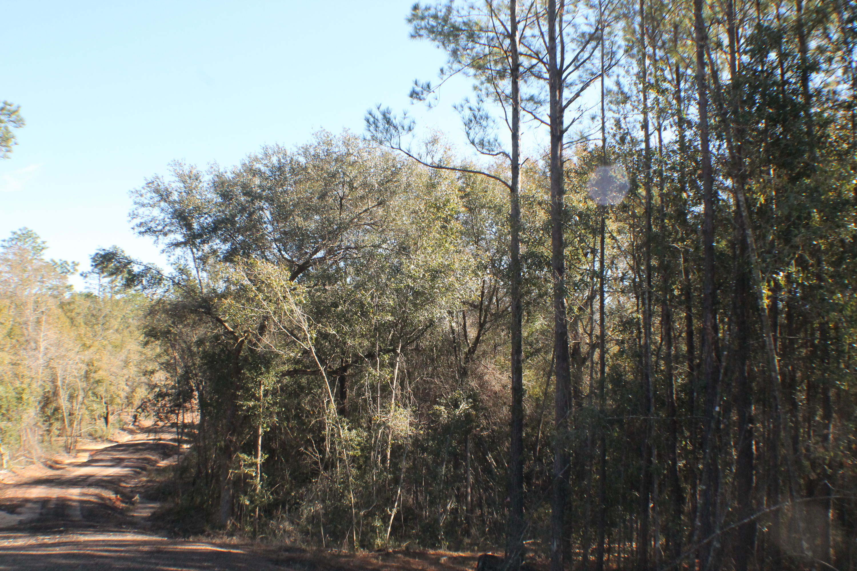 MILLERS BLUFF - Land