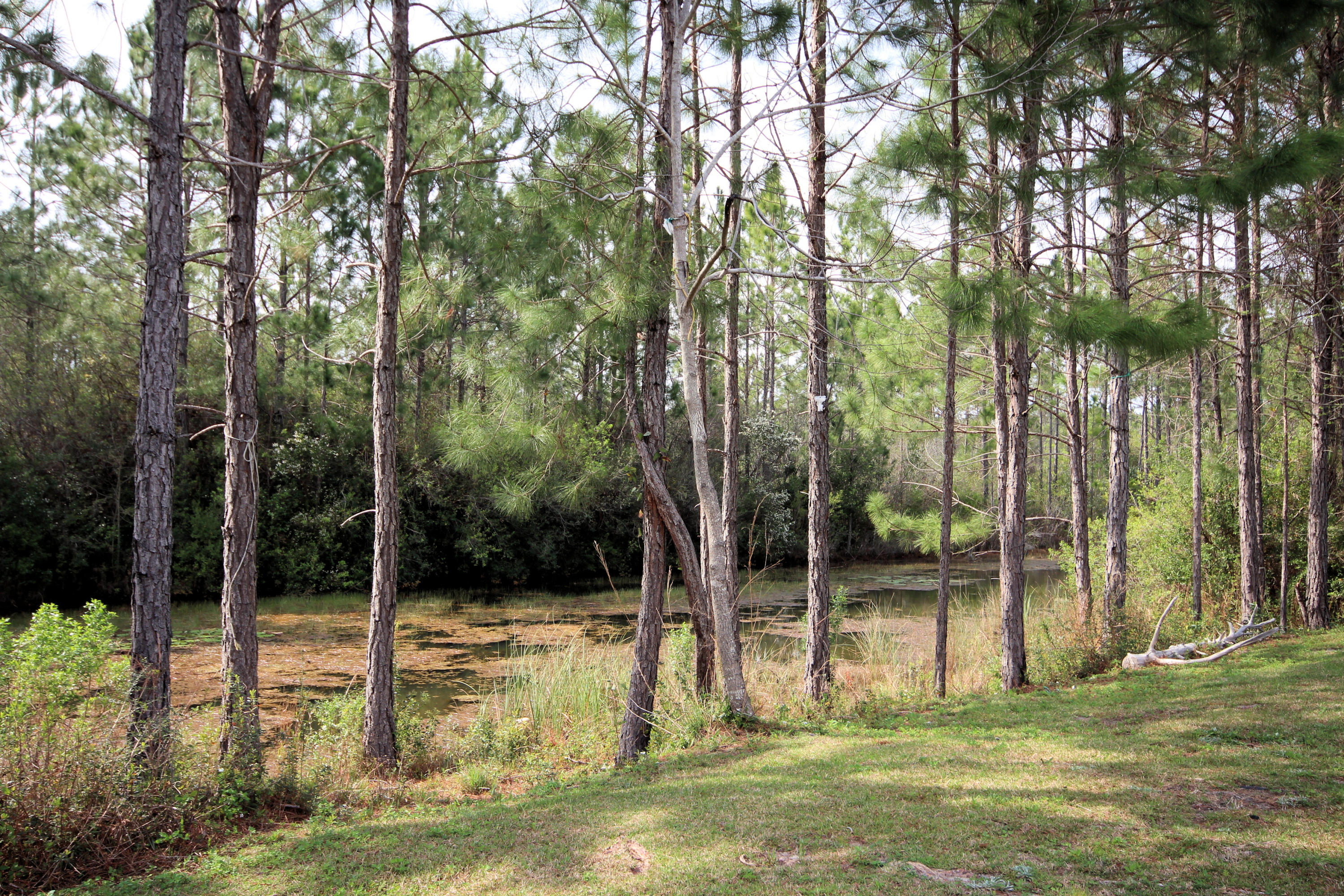 EDEN PARC - Residential