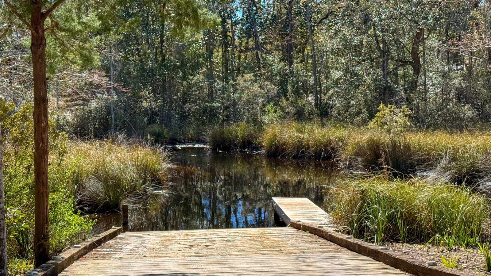 WATERVIEW COVE - Residential