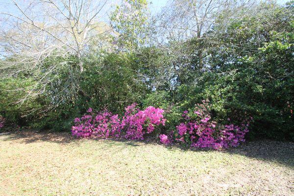 JACK KENNEDY - Residential