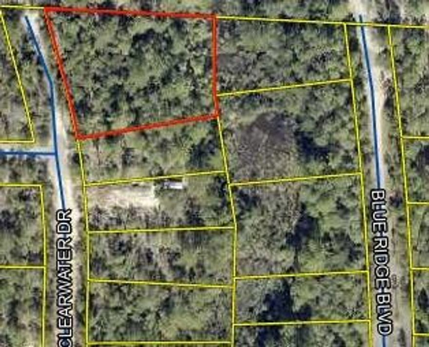 Wooded lot in a central location between DeFuniak Springs and Crestview. This lot allows manufactured homes and mobile homes. All measurements to be verified by buyer