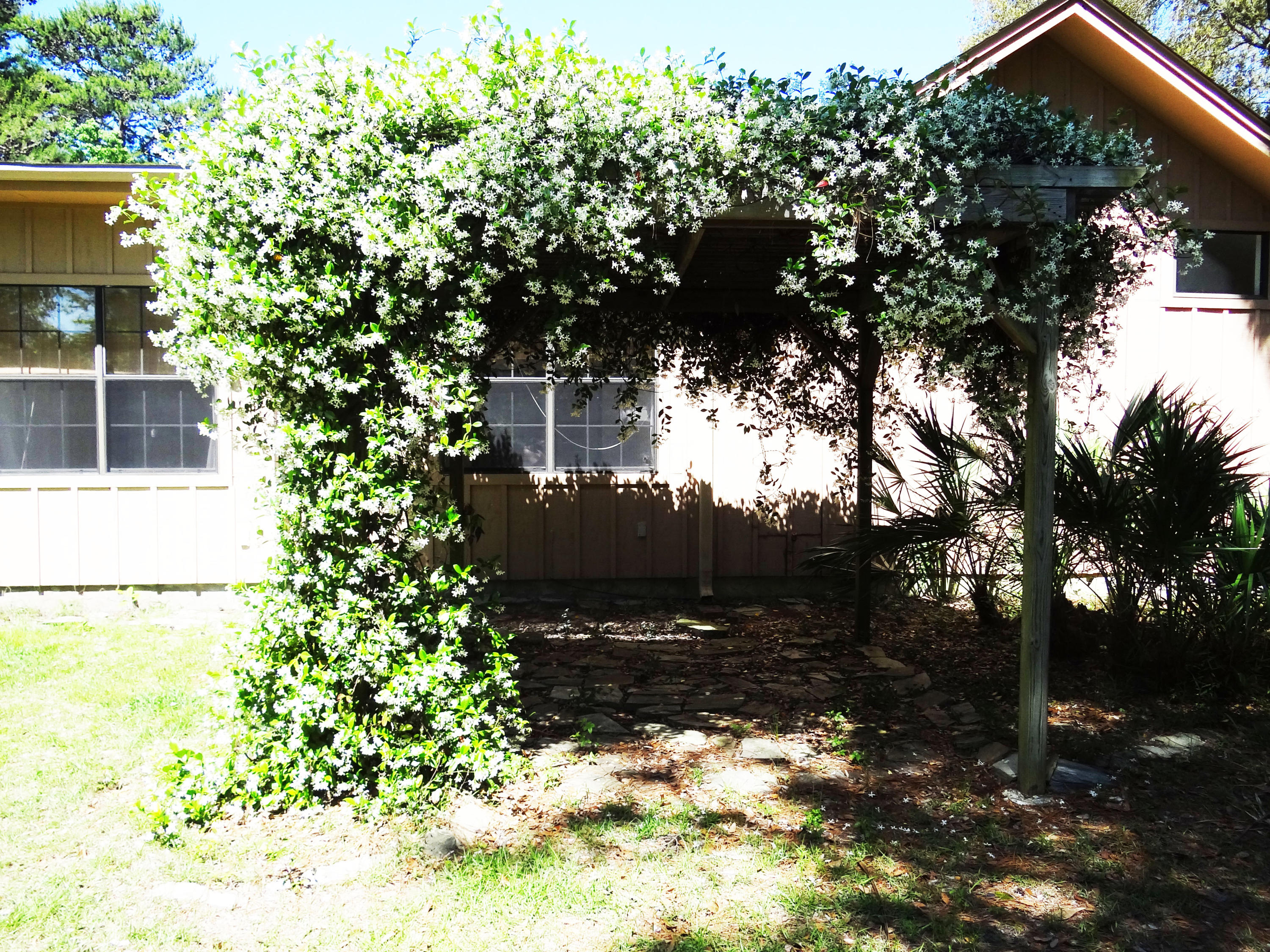 RAINTREE ESTATES - Residential