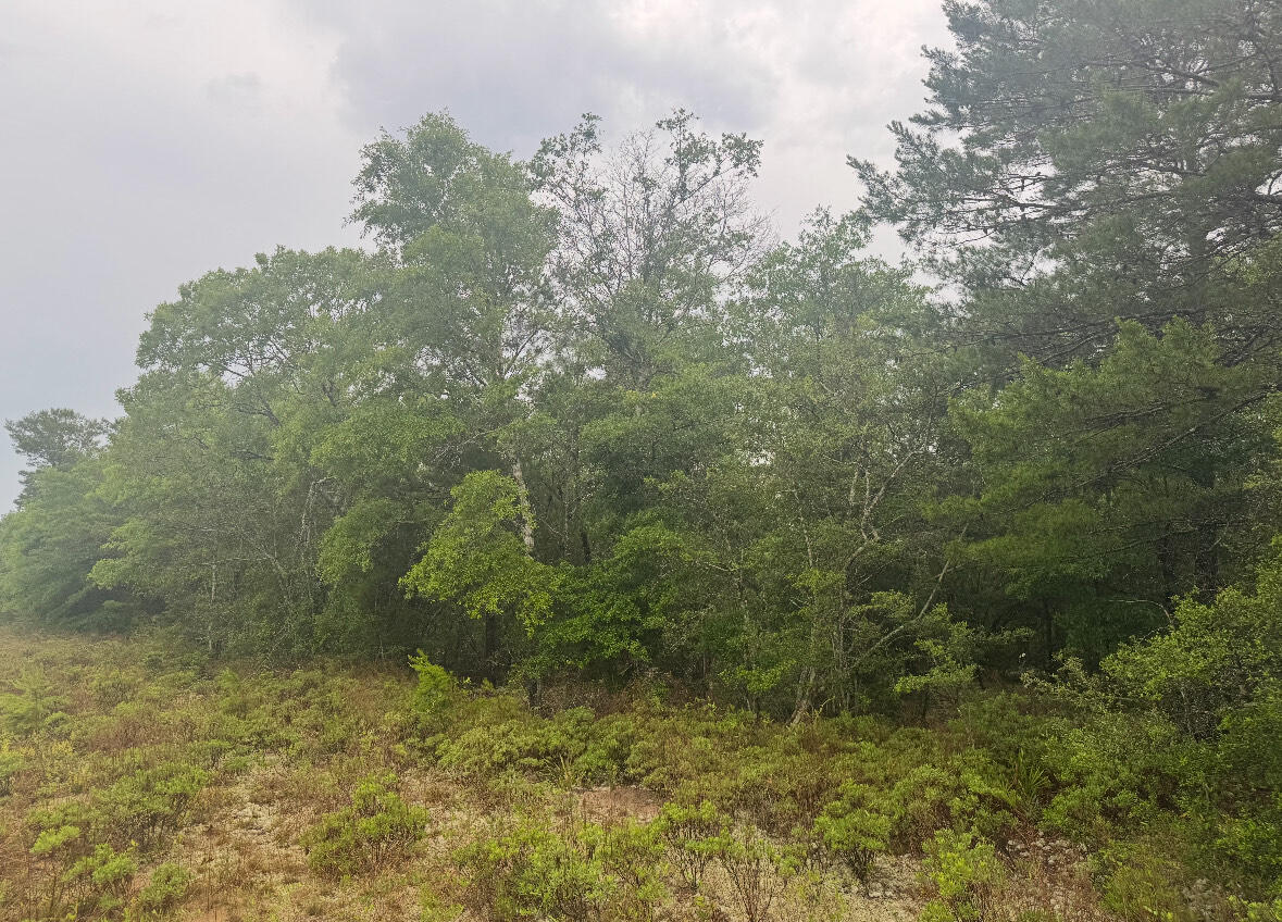 OAKWOOD HILLS UNIT 5 - Land