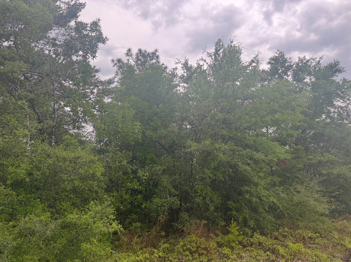 OAKWOOD HILLS UNIT 5 - Land