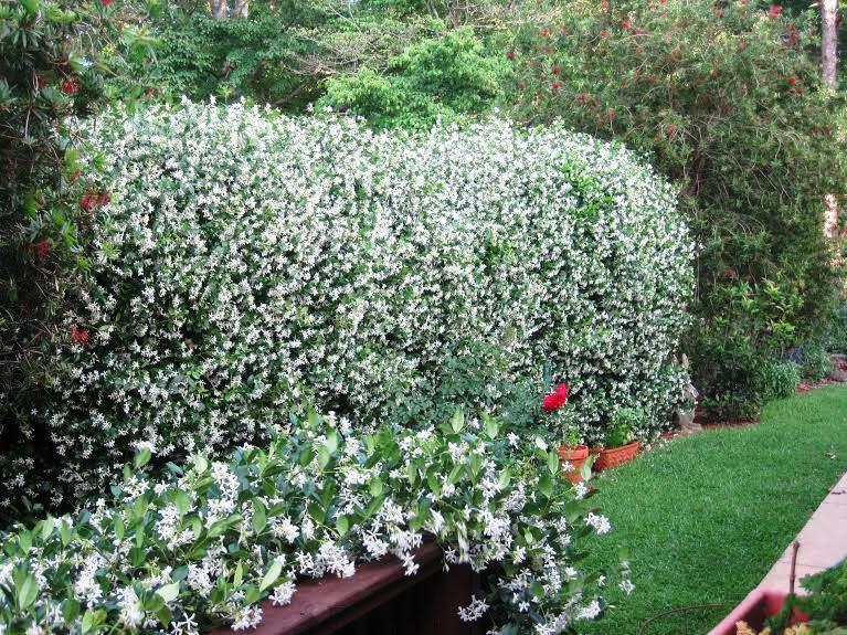 JUNIPER ISLAND UNREC - Residential