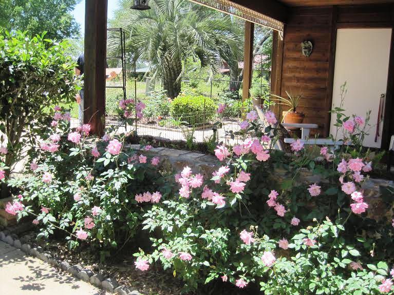 JUNIPER ISLAND UNREC - Residential