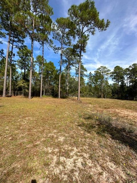 FOX DEN - Residential